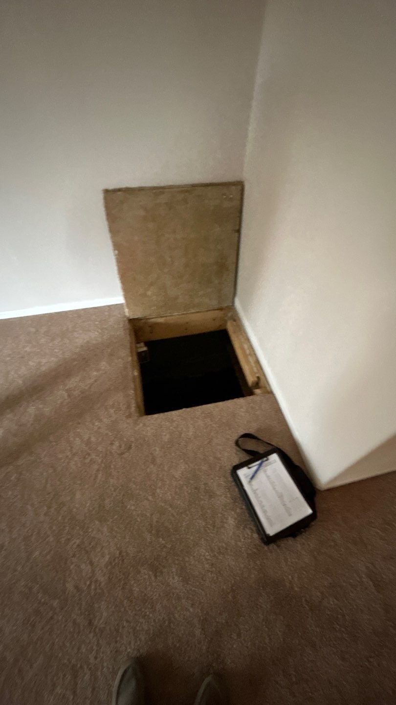 Mold Damage by Accountable Home Services