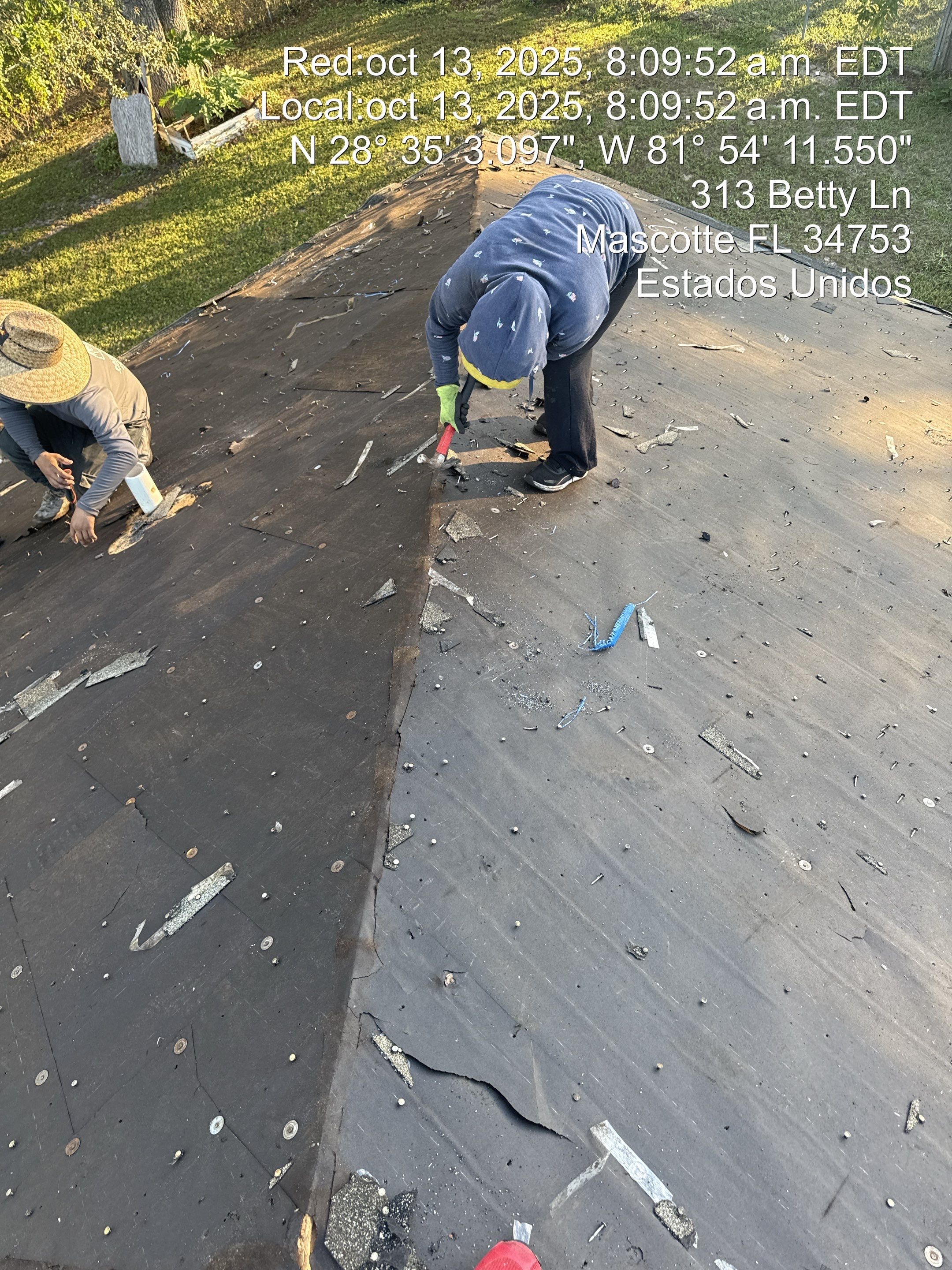 Project in Mascote by You Restorations LLC DBA YOU-Home