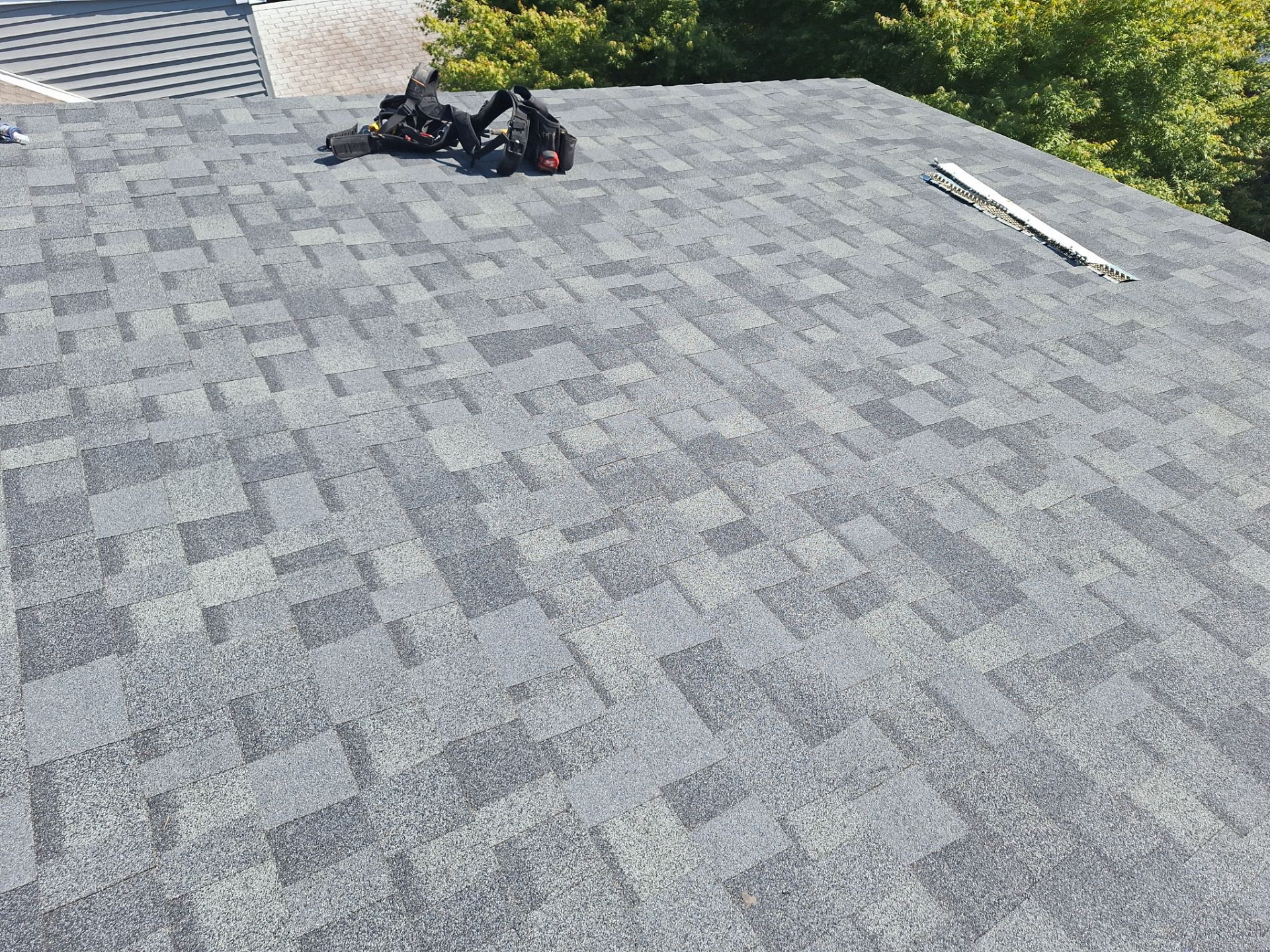 Silver Birch Shingles by Reimagine Roofing