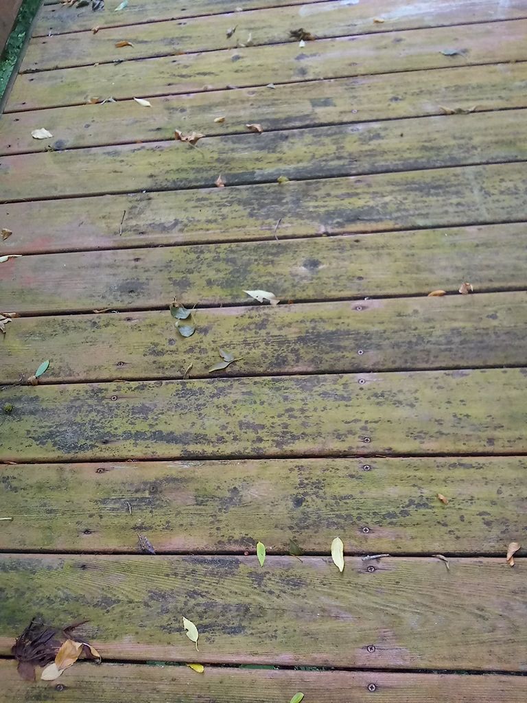 Deck Restoration using Armstrong-Clark Semi-Transparent Cedar 97229 by Paul Schopp