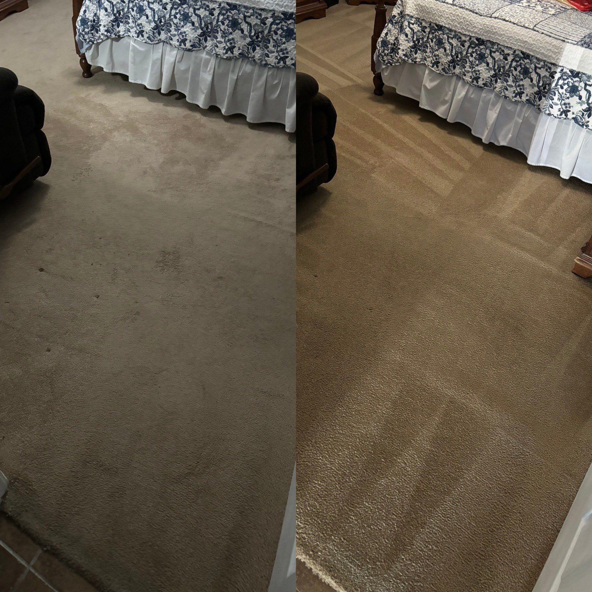 the service shown is carpet cleaning resulting in a noticeably cleaner and refreshed surface with visible patterns from the cleaning process