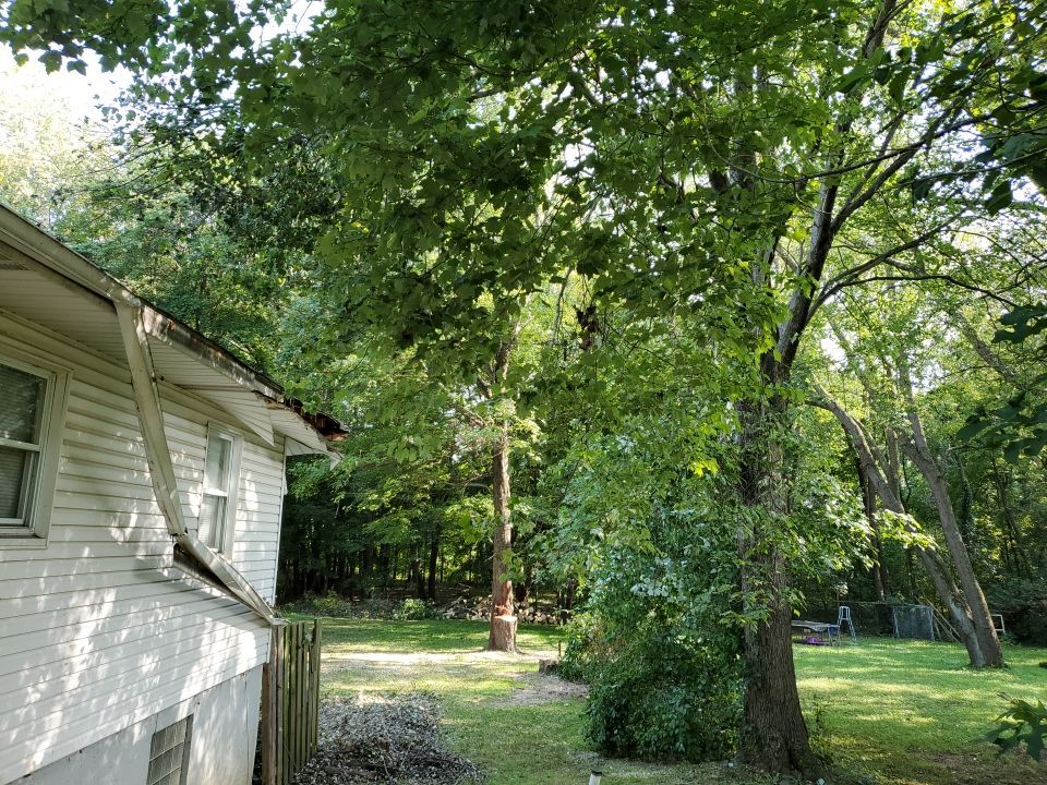 Storm Damaged Tree Removal  by Mike Jones & Sons Tree Service LLC 