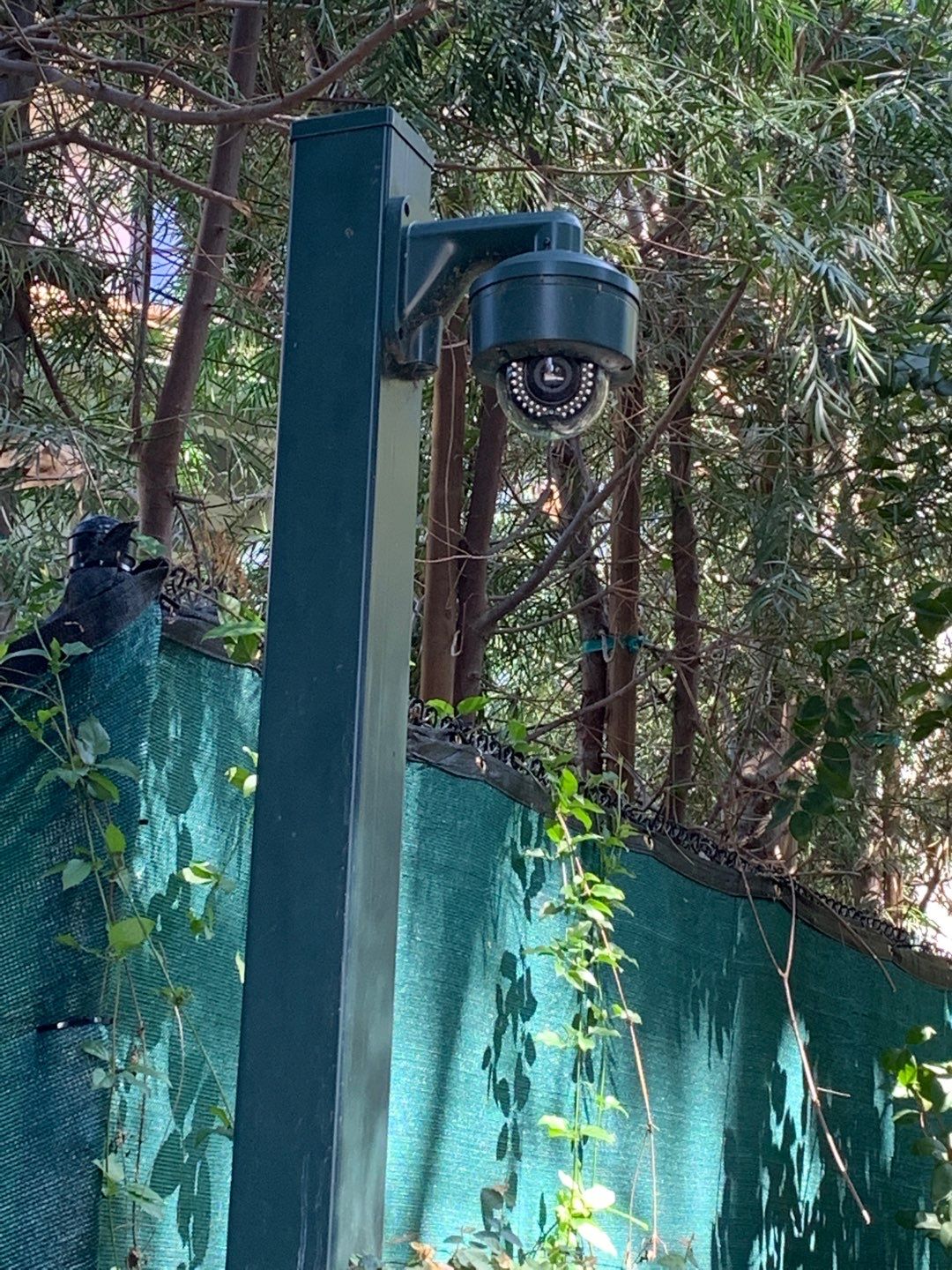 Toluca Lake Outdoor Entertainment + Landscape Lighting by Outdoor Lights + Shades
