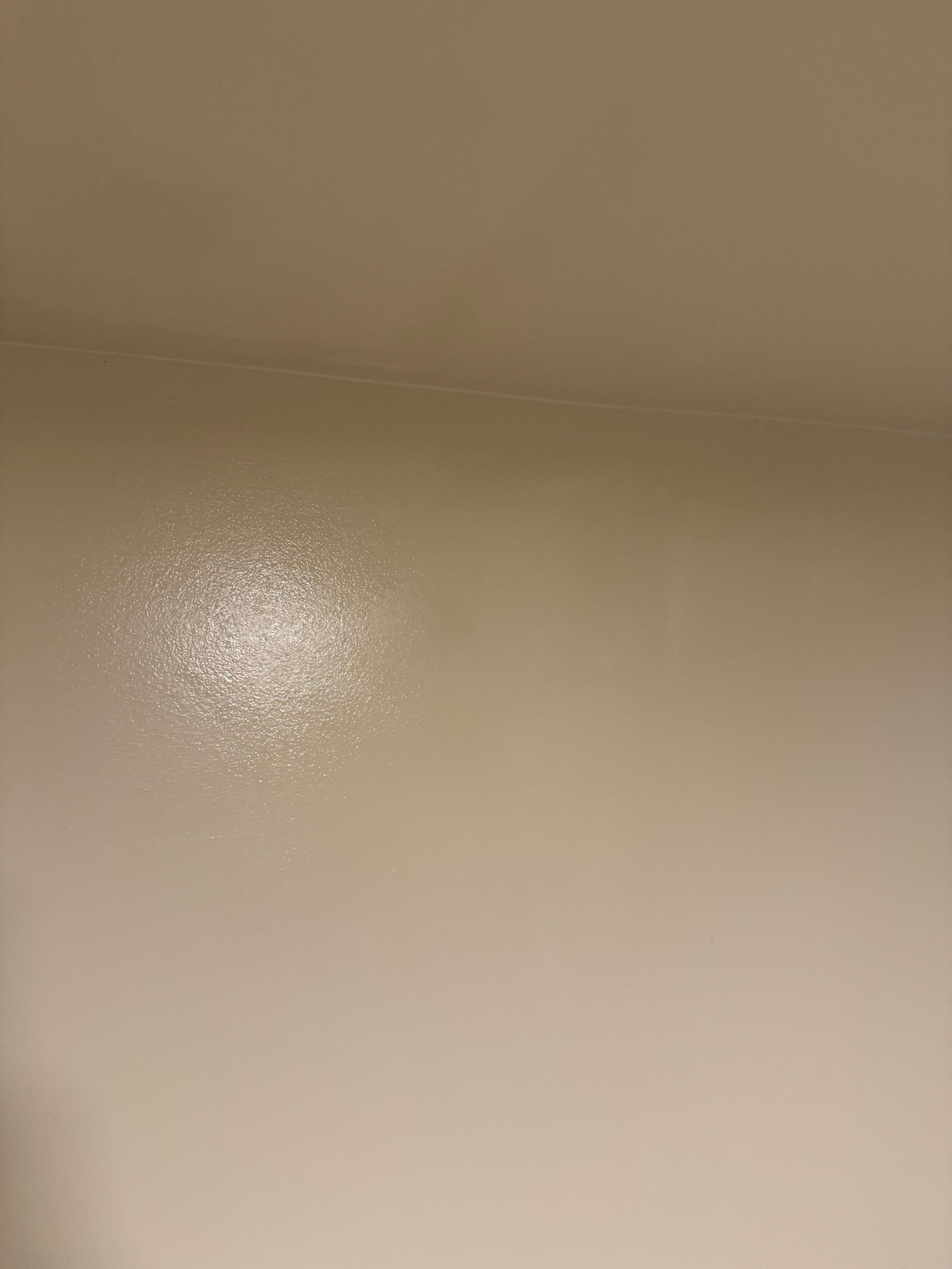 Painting by YVR Construction Group