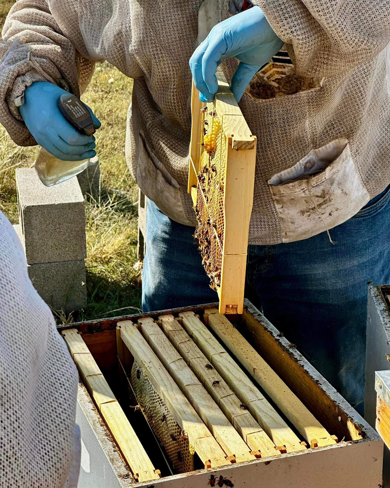 Rockwall Honey Bee Company HQ by Rockwall Honey Bee Company