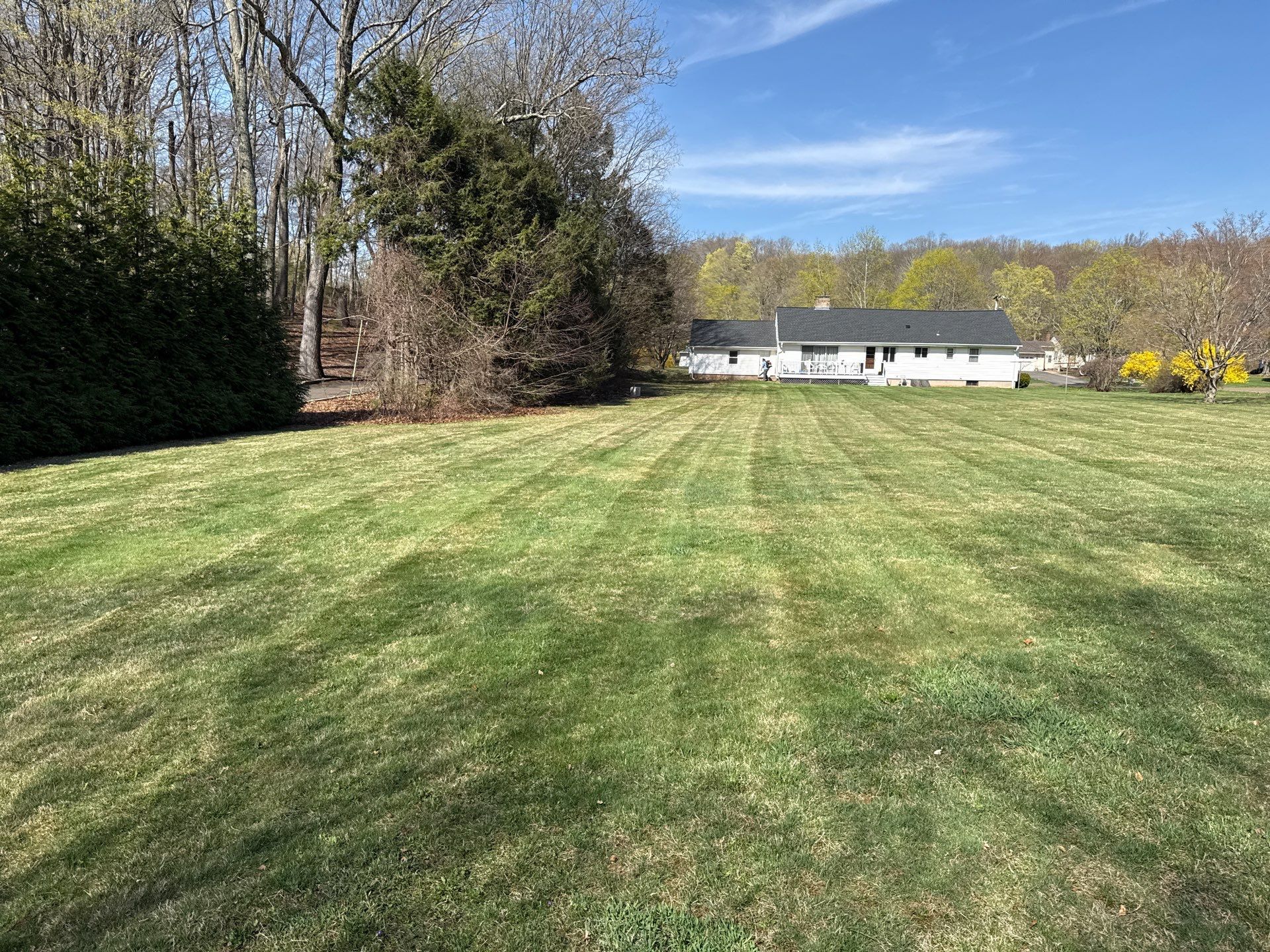 Residential Spring Cleanup and Lawn Mowing in East Haven by Diamond Image LLC