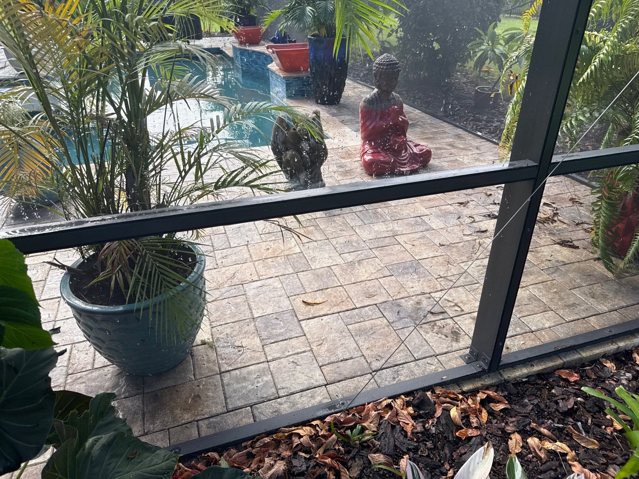 Pool Cage Cleaning | Rye Wilderness, Bradenton FL by Sunshine AquaWash