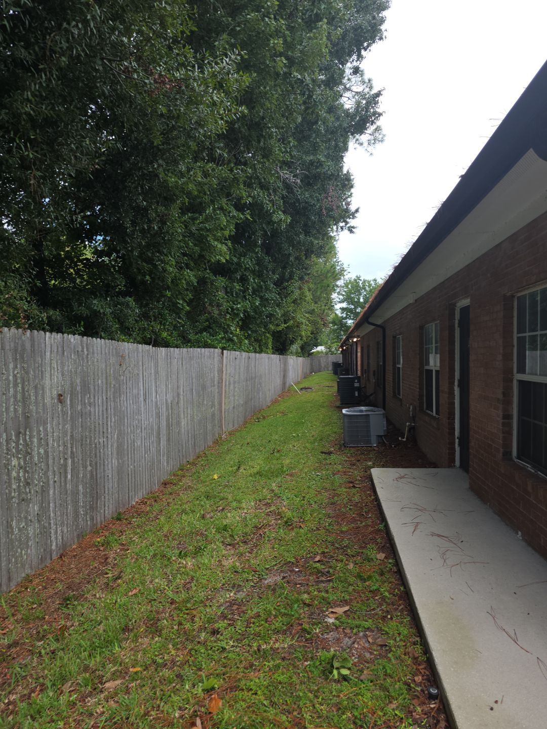 Commercial Property | Tree Removal & Trimming by ProGreen Services