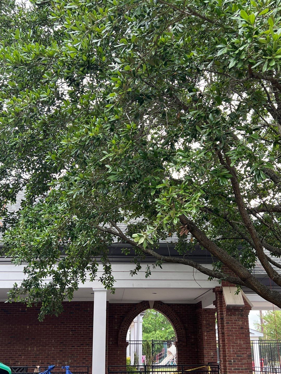 Commercial Roofing Installation using High Grade Asphalt Shingles by Carolina Trophy Roofs