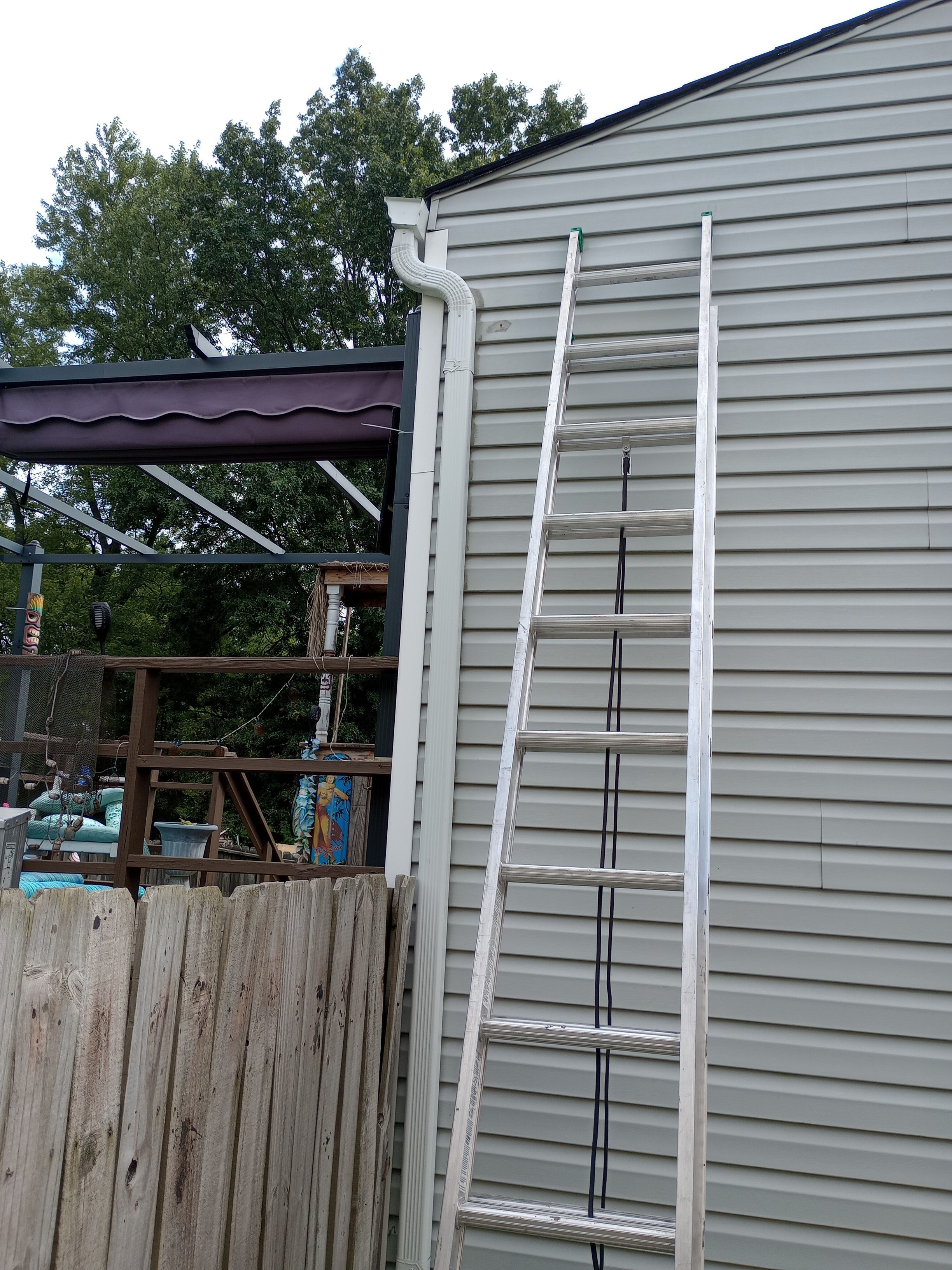 Shely Needs by Silver Leaf Contracting 