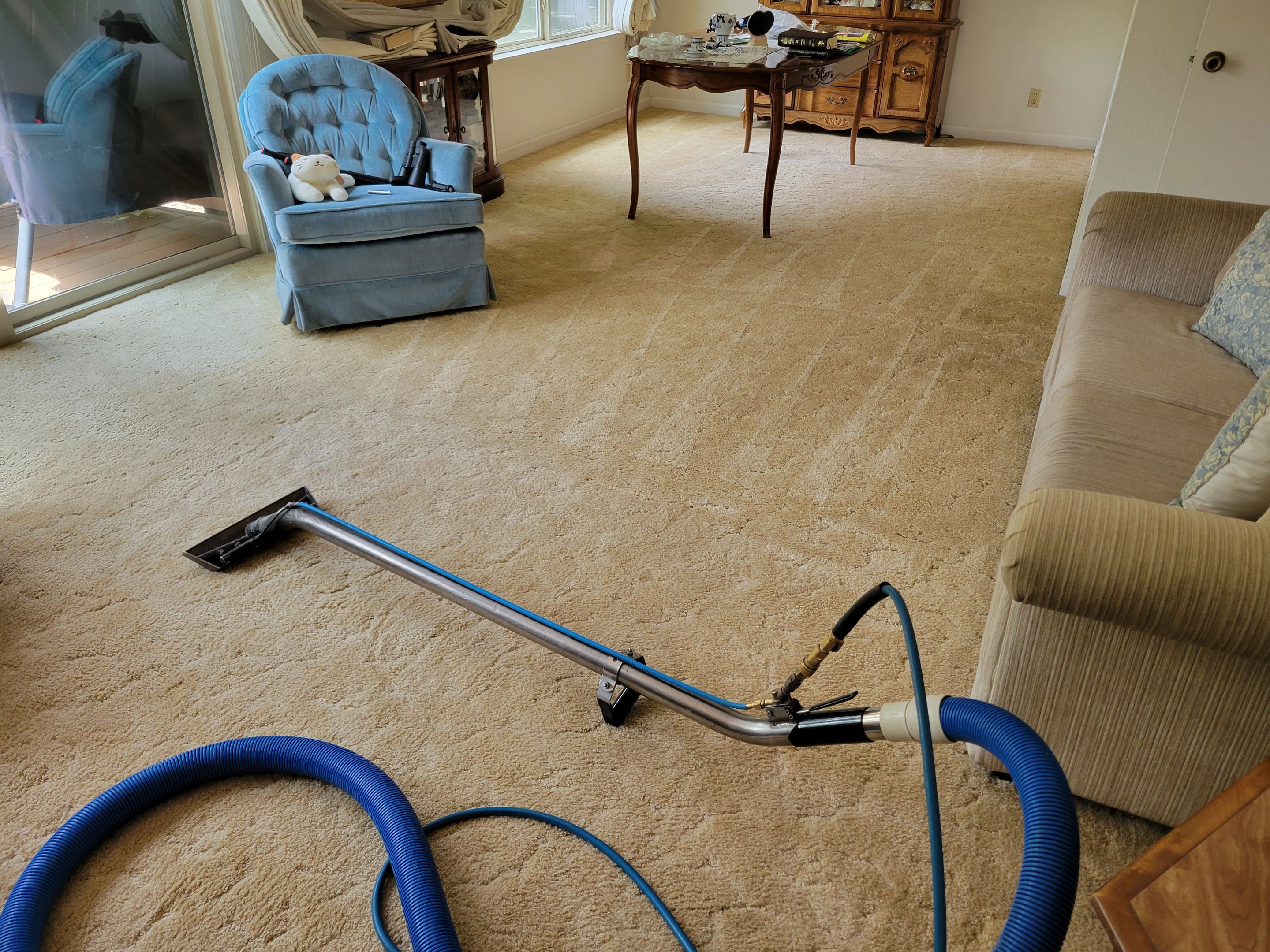 Carpet Cleaning and Chair Cleaning by Ardent Carpet Restore LLC