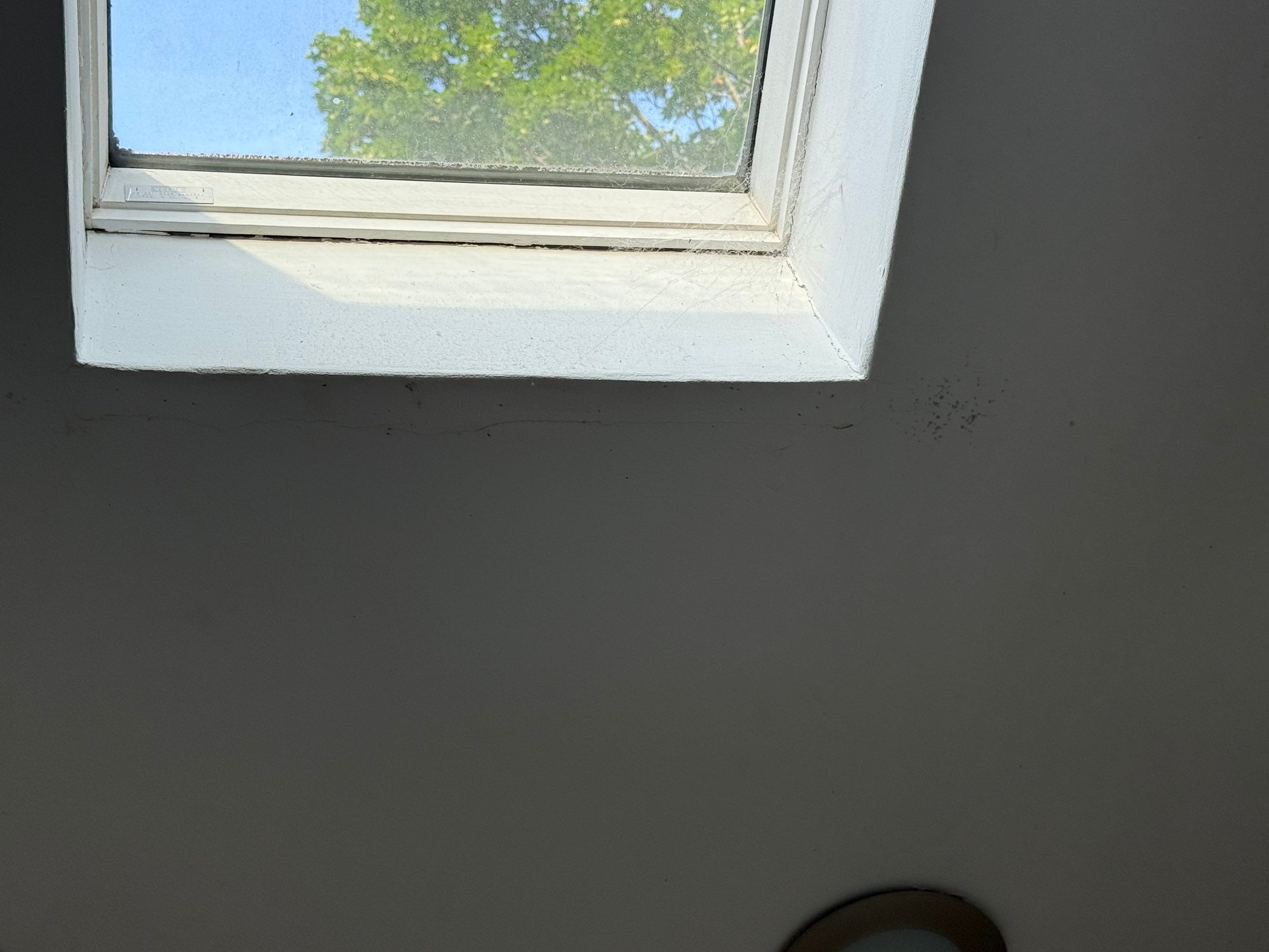 Skylight Leak Repair & Interior Restoration by Mighty Dog Roofing of Greater Middlesex County