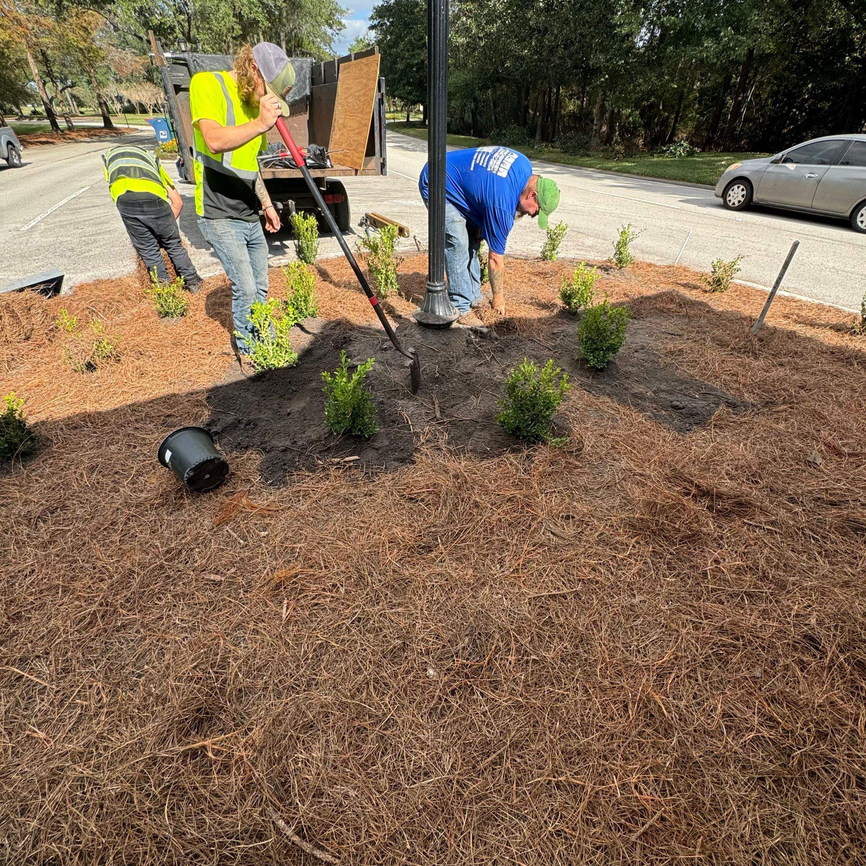Main Gate Landscaping Project | Deerwood Community by ProGreen Services