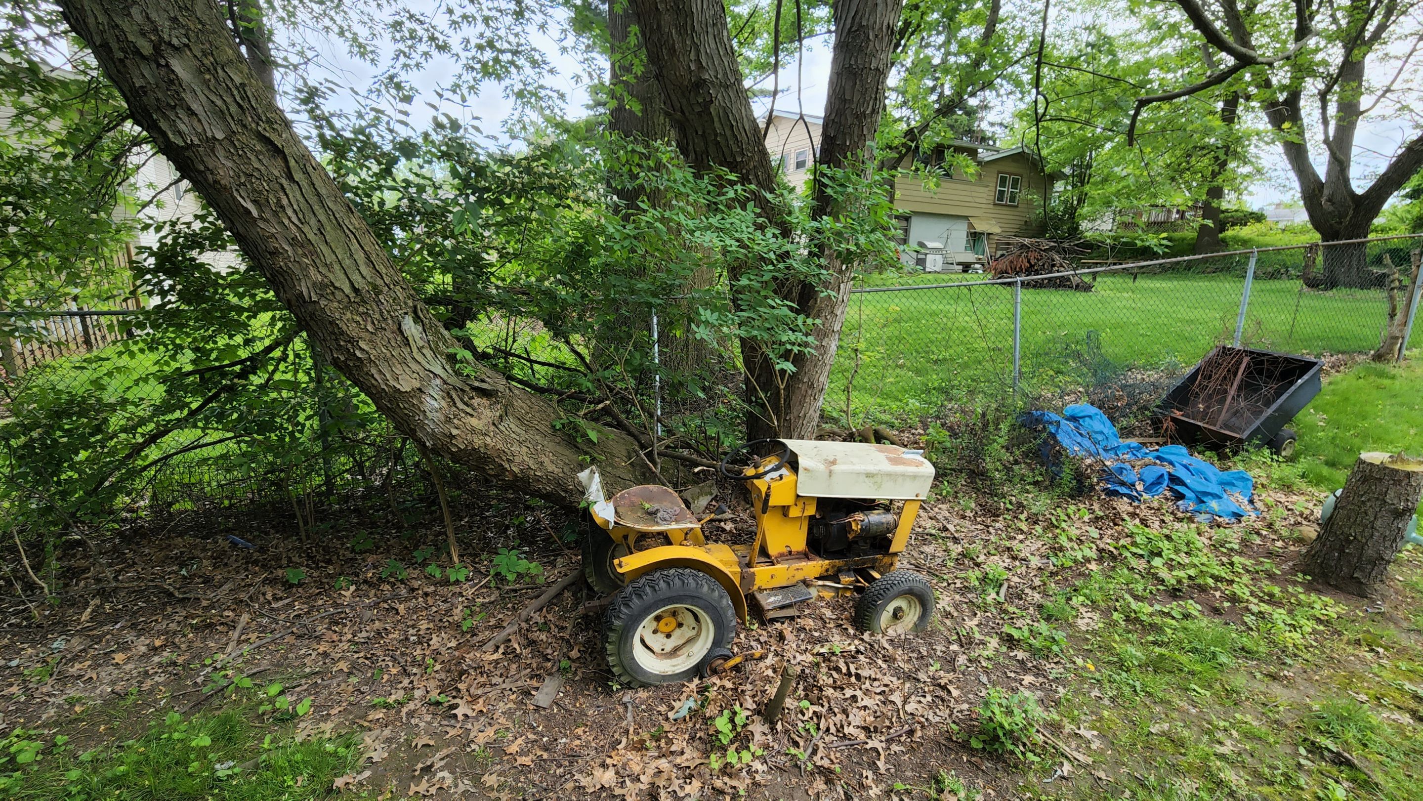 Tree Removal using Tree Removal by Mike Jones & Sons Tree Service LLC 