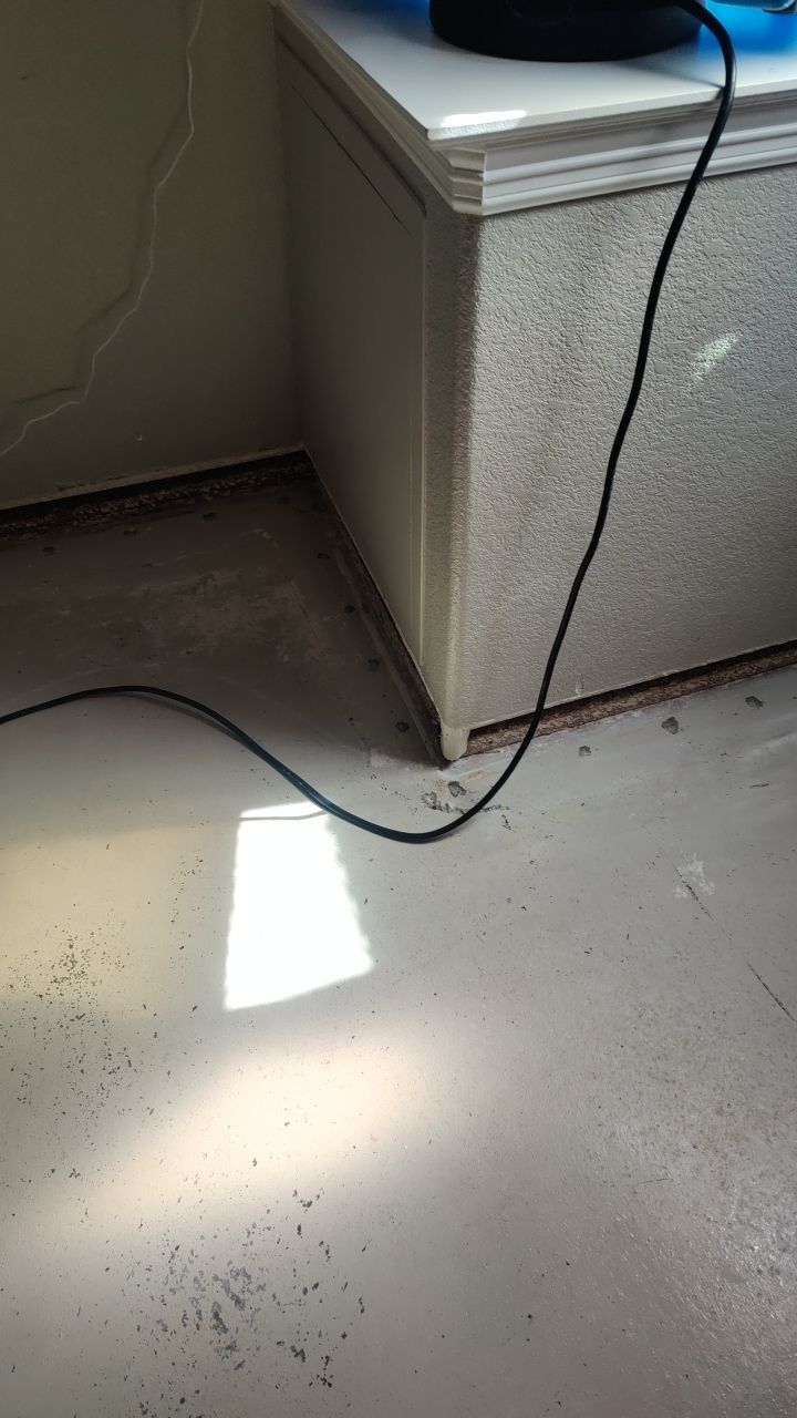 Mold Remediation  by Accountable Home Services