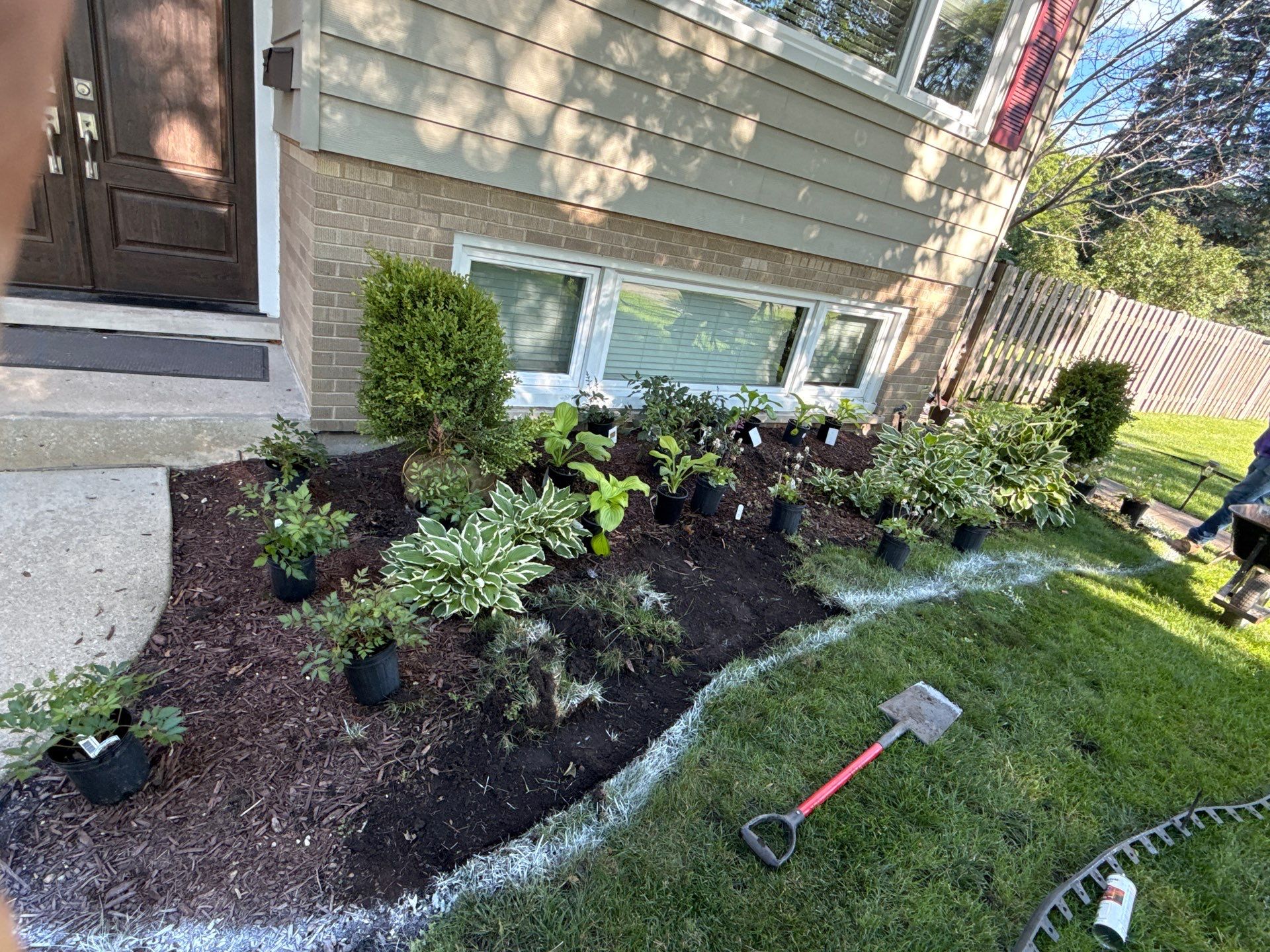 Amy N. - Arlington Heights, IL by A&N 