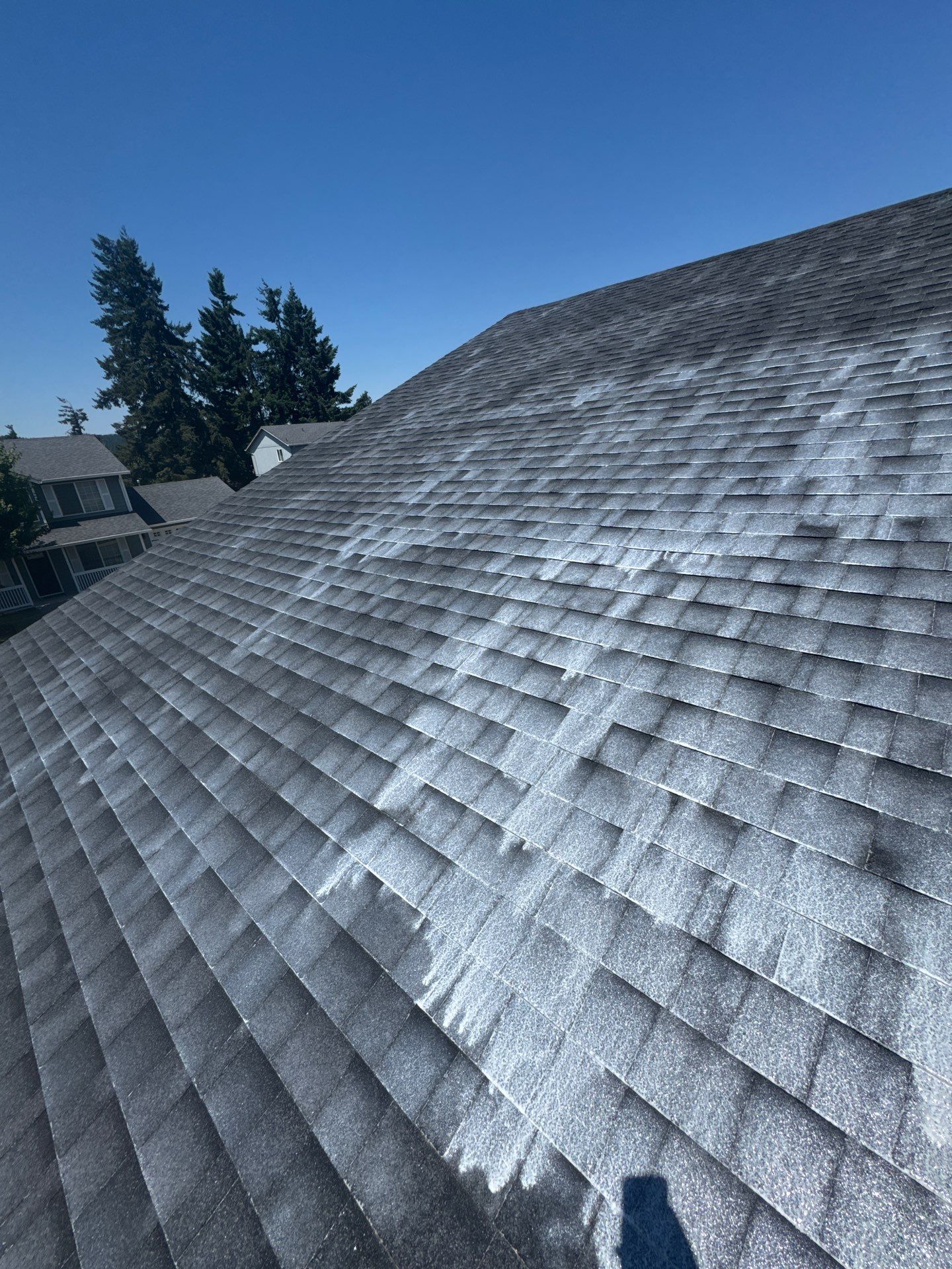 Project in Cottage Grove by Roof Maxx of Grants Pass