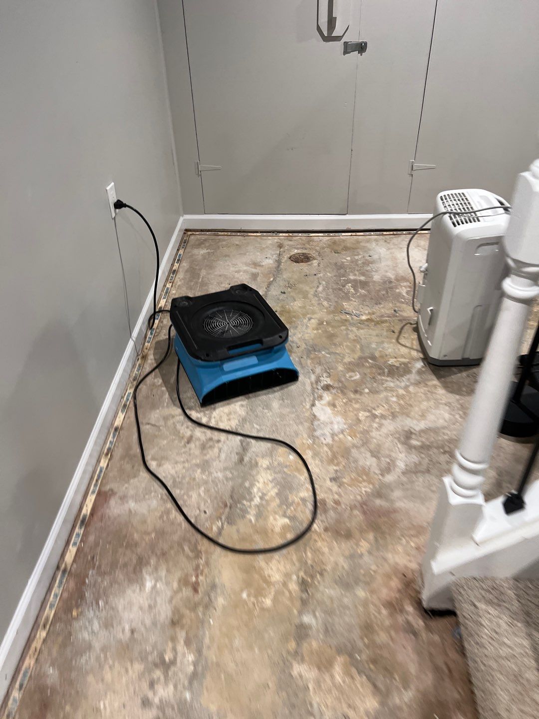 Project in Northville by EzDry Water Mitigation & Property Restoration