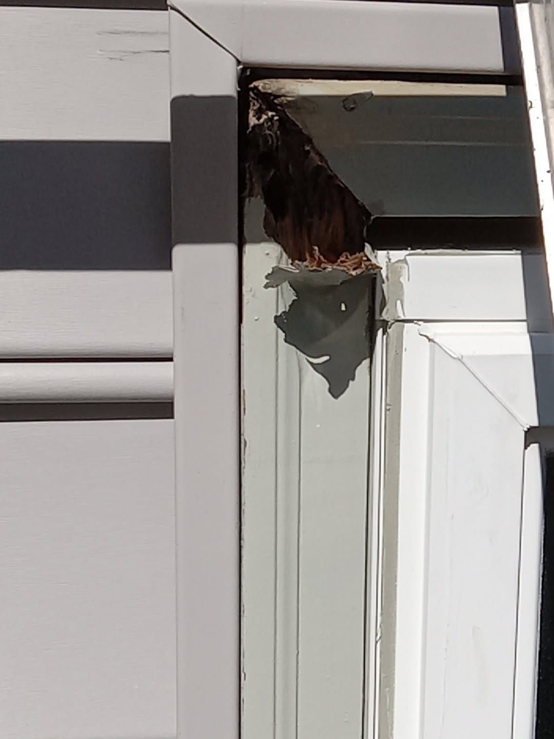 Sterling: Multi-Trade Insurance Restoration by RM Banning, Inc.