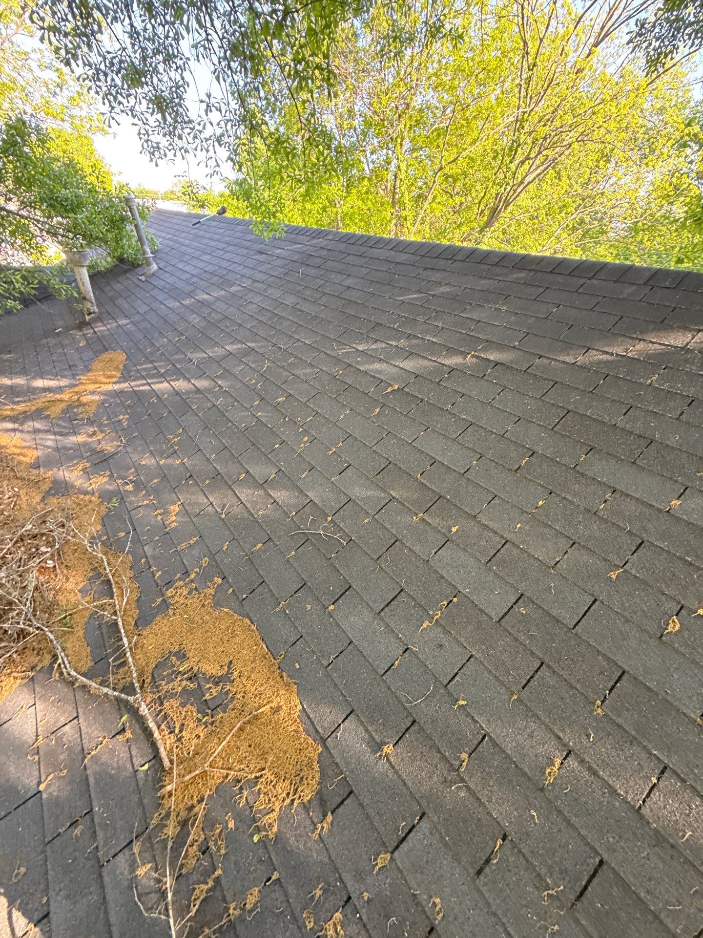 From 3tab to Class 3 impact resistant shingles!! by In & Out Construction & Remodeling, LLC