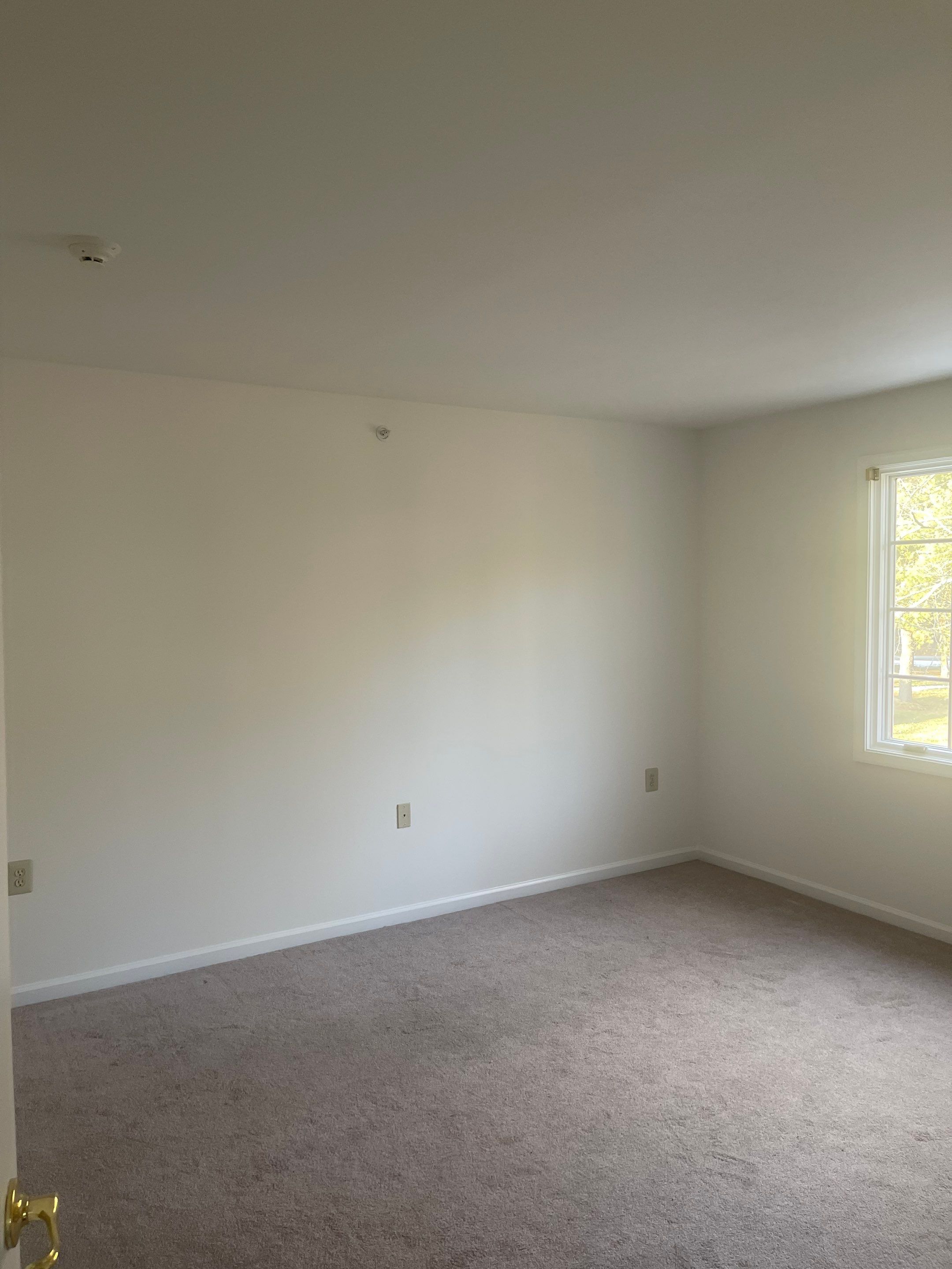 First & Second Floor Refresh by Davis Painting Llc 