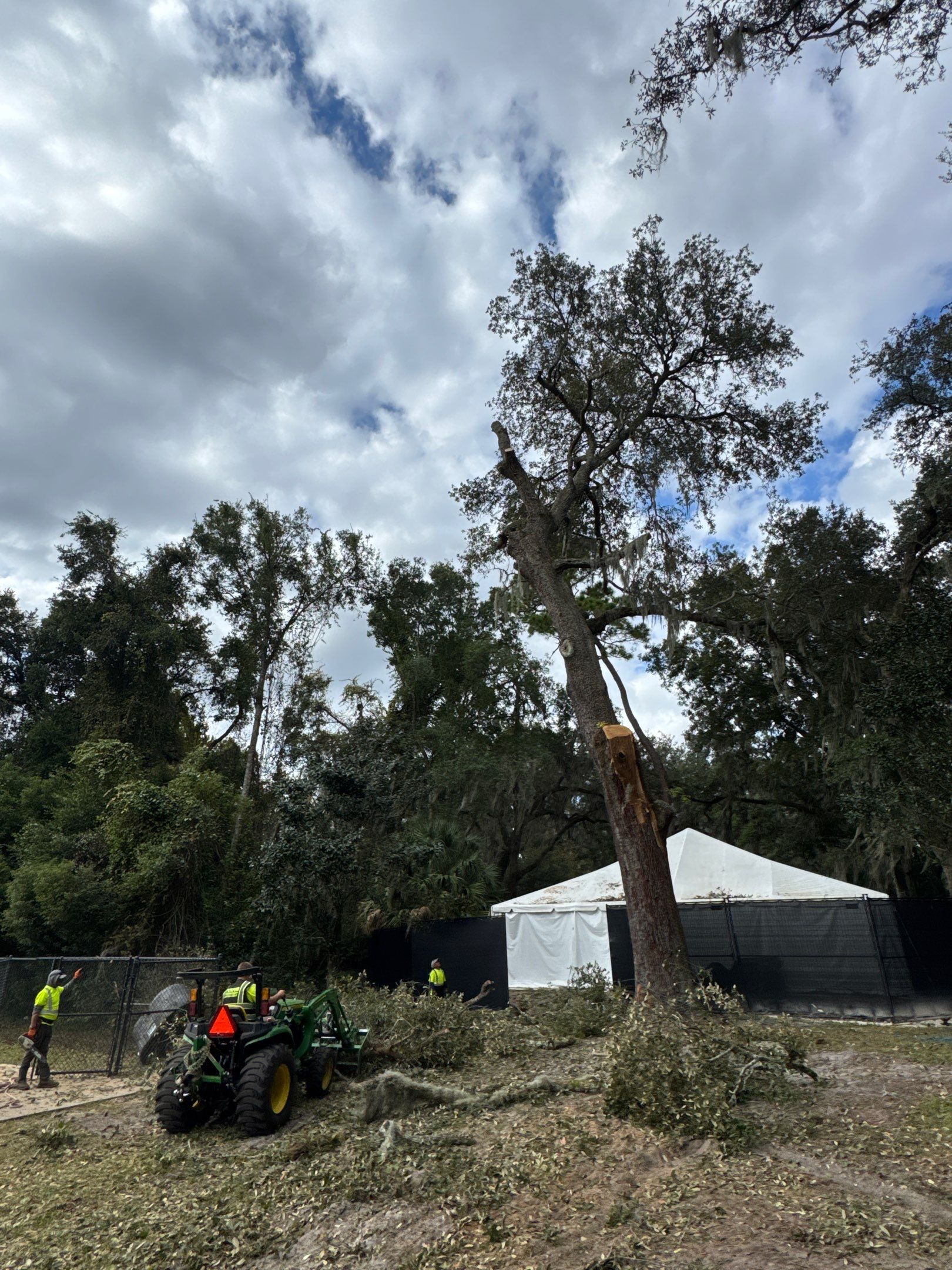 Episcopal | Large Tree Removal by ProGreen Services