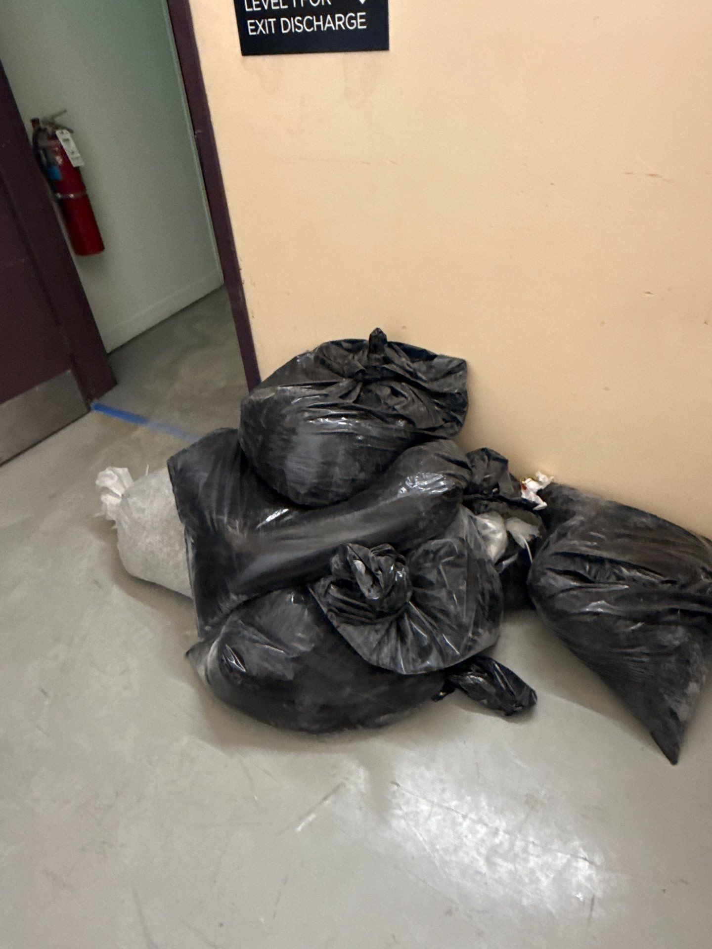 Grind off 20 layers of Paint Project in Pittsburgh by Floors in a Day, Inc