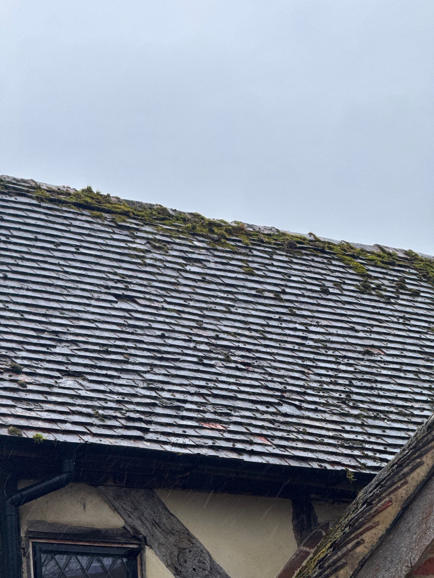 Roof Clean  - Moss Removal - Gutter Clean using Honda 15lpm Low Pressure Washing Machine by Ges Exterior Cleaning ltd