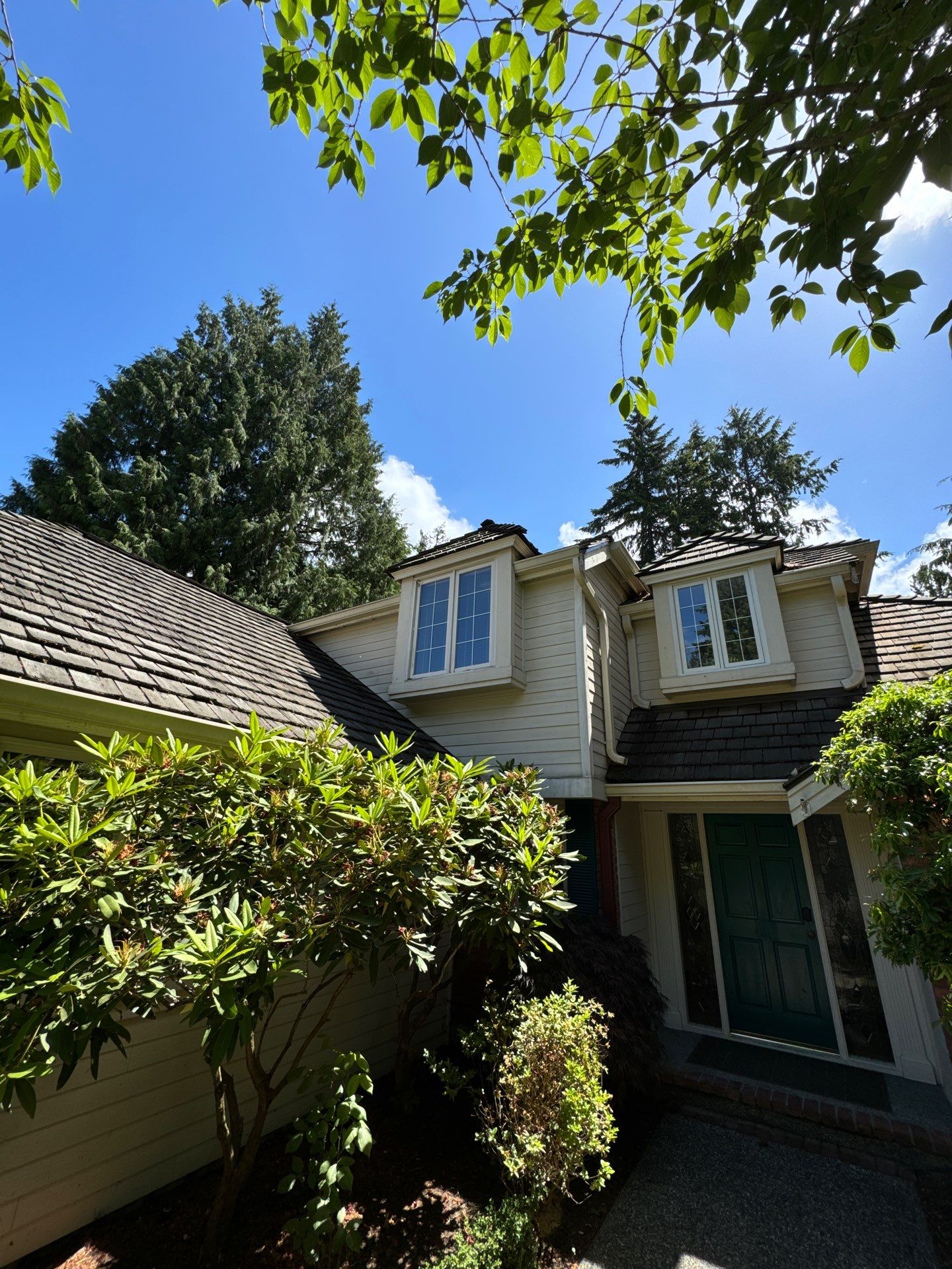 Project in Mill Creek by Peaks and Valleys Construction