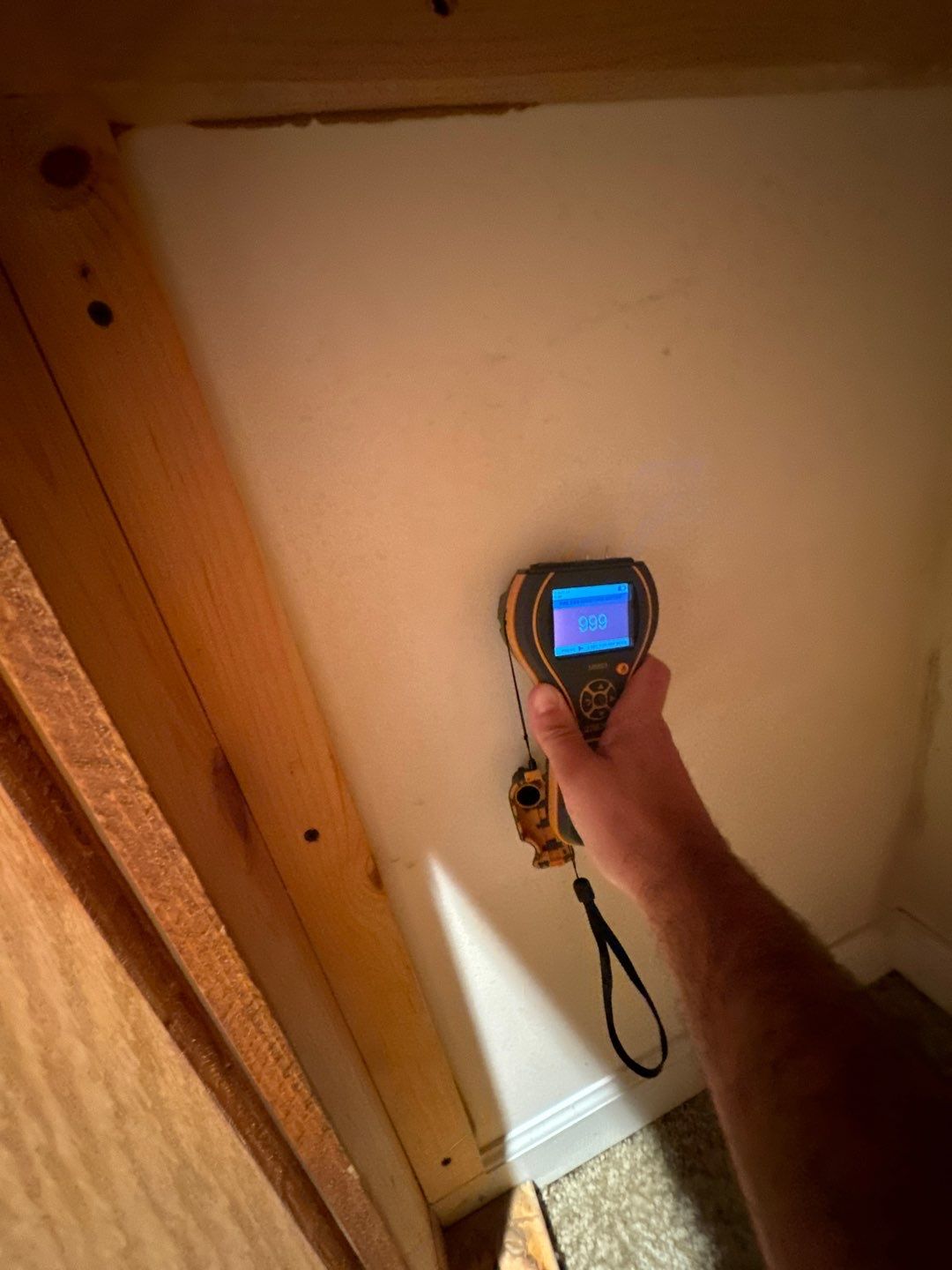 Project in Novi by EzDry Water Mitigation & Property Restoration