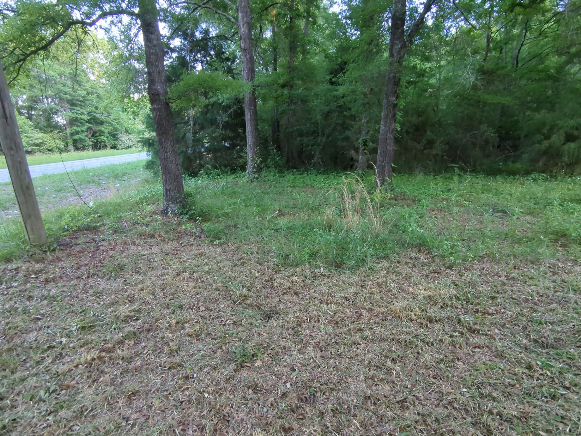 Exterior Clearing - tree trimming - grass cut by Swift Signings and Services LLC