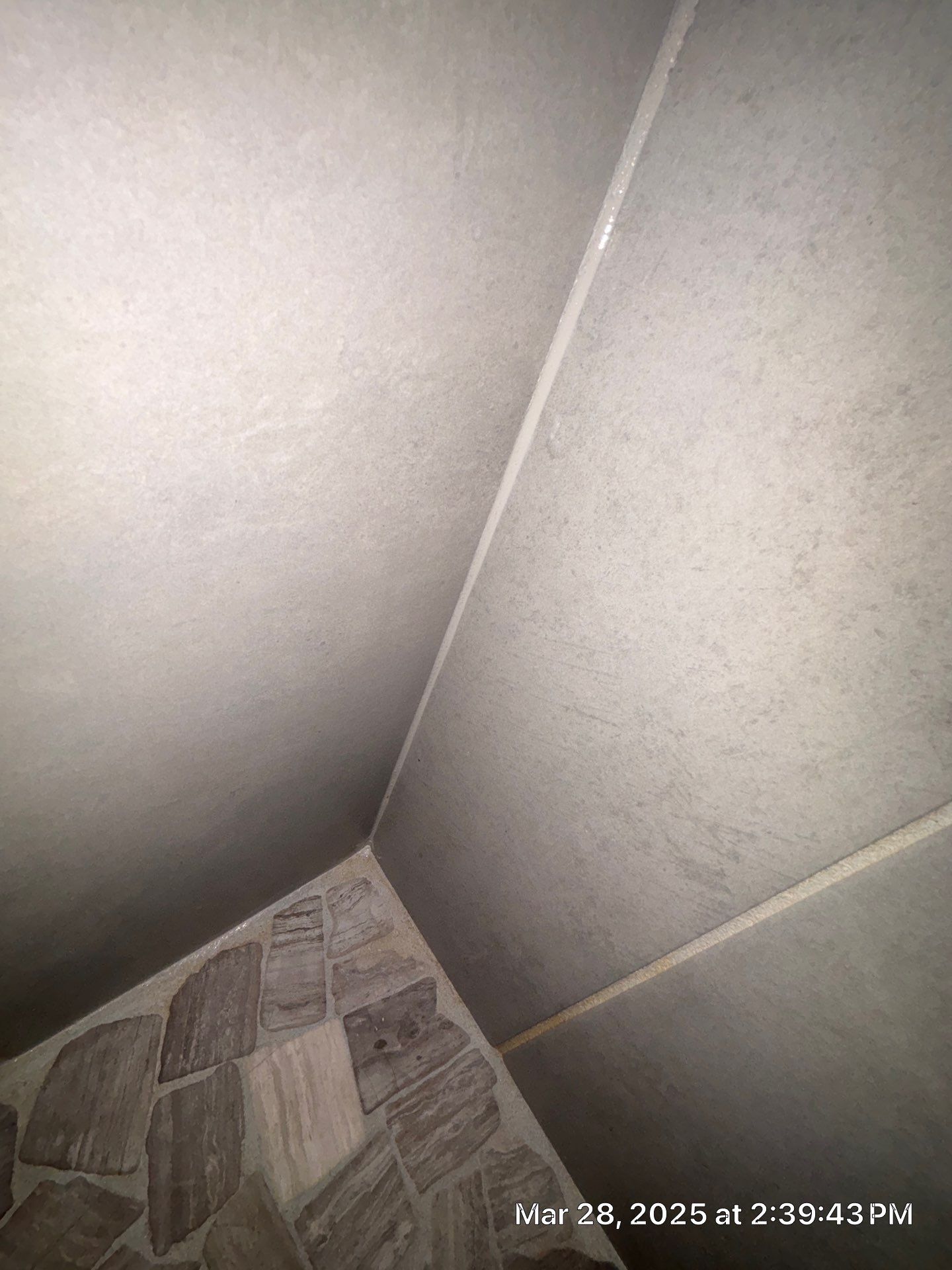 Mold Remediation In Palmetto by Ampm Restoration Services 