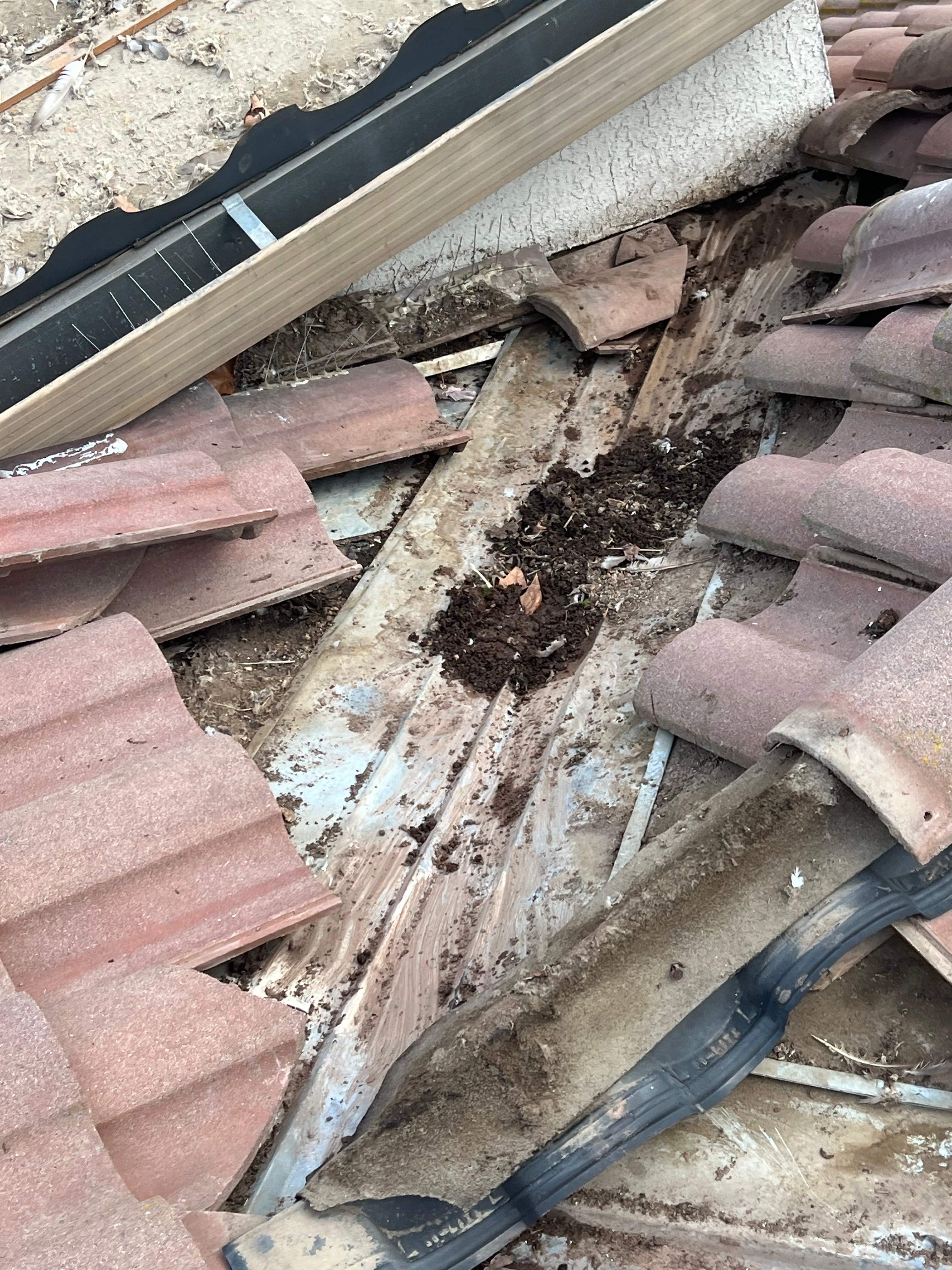 Tile Roofing Repair by Grandmark Service Company