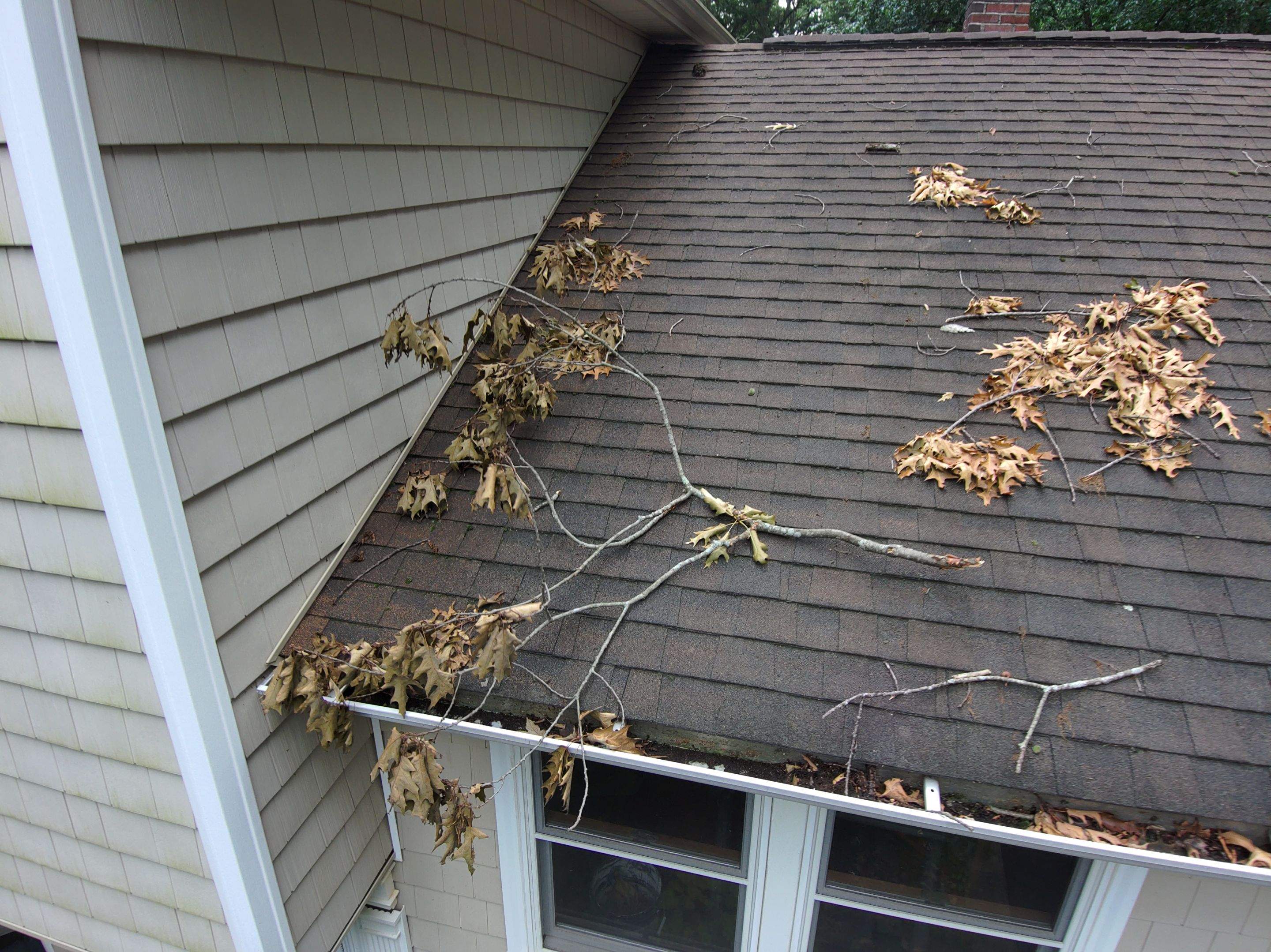 Complete Asphalt Shingle Roof Replacement and Underlayment in Monroe by A Plus Exterior