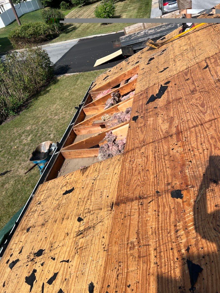 Pewter Gray Shingles by Reimagine Roofing