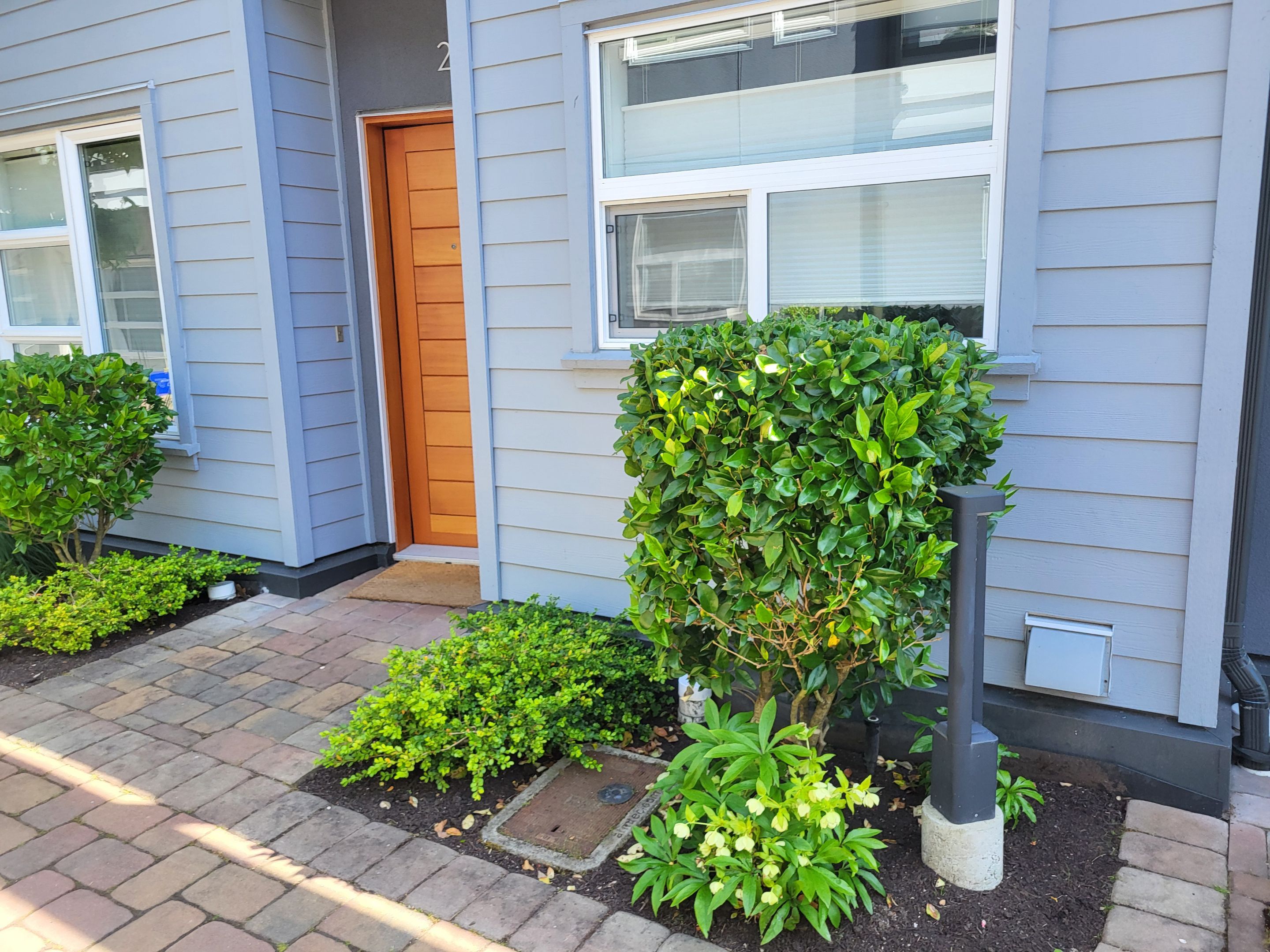 Sea Haven — Year-Round Strata Landscape Care by Habanero Landscape Solutions