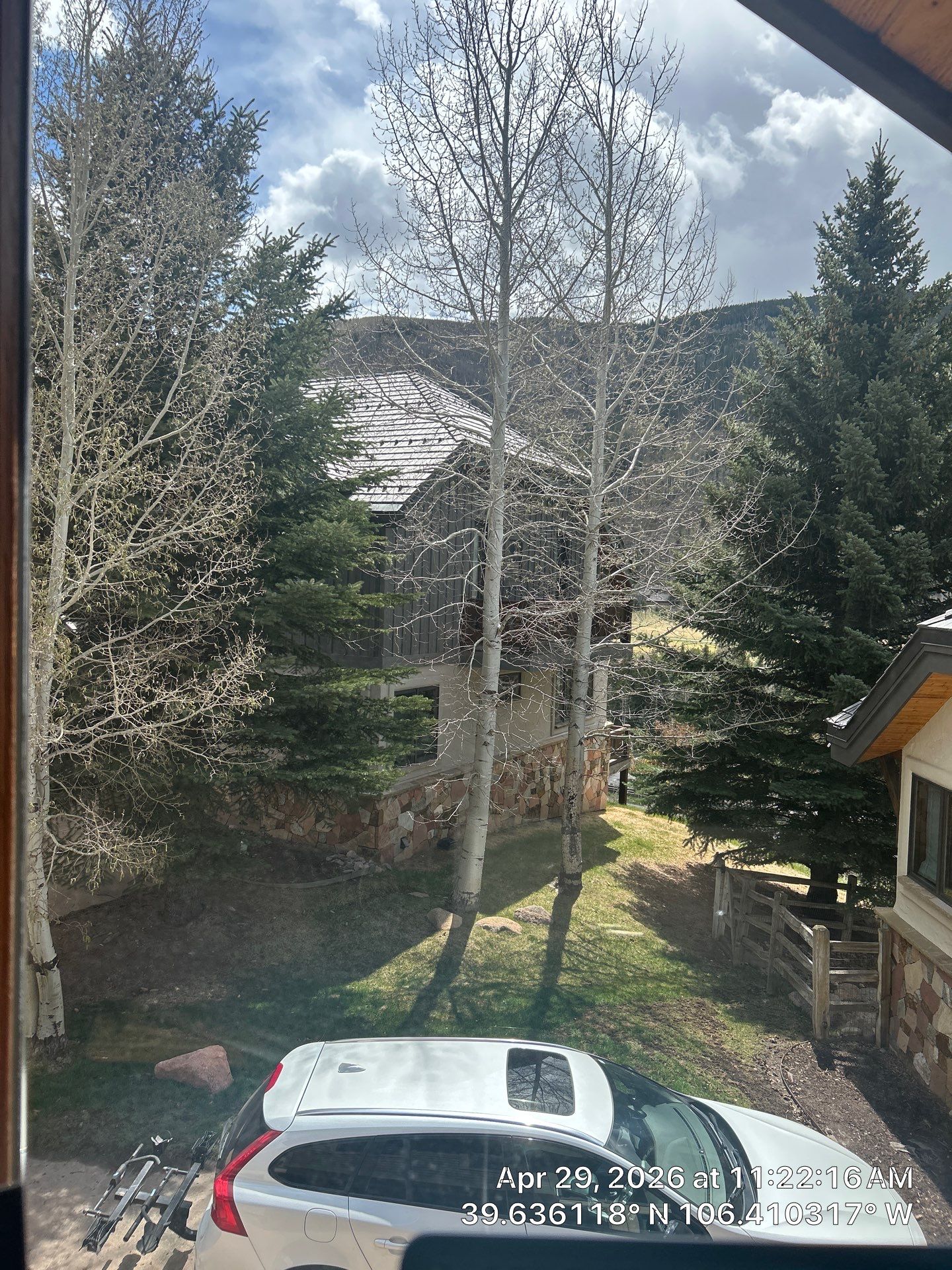 Residential Aspen Tree Removal and Roof System Maintenance in Vail by CompanyCam Sales Demo