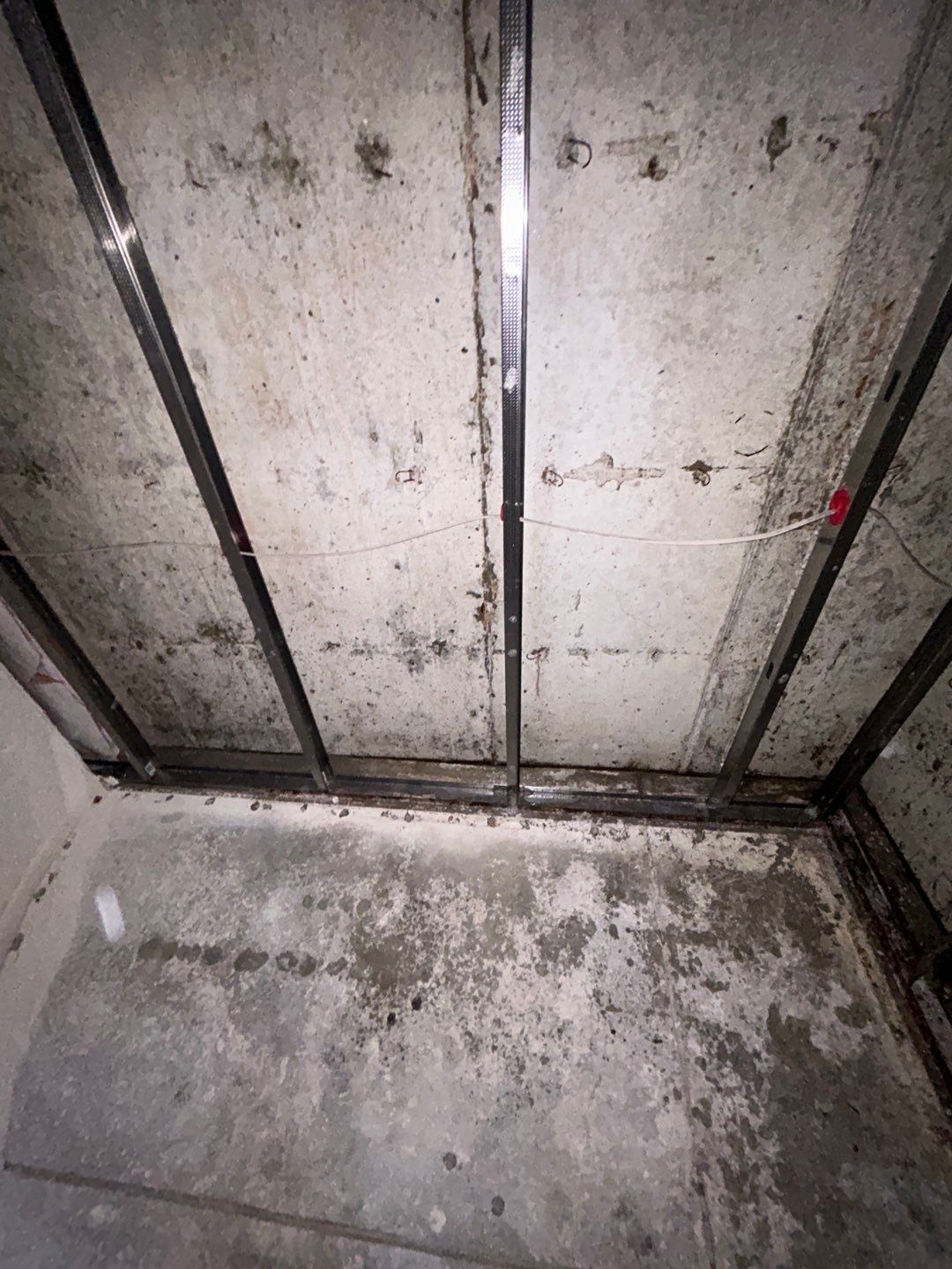 Mold Remediation by Accountable Home Services