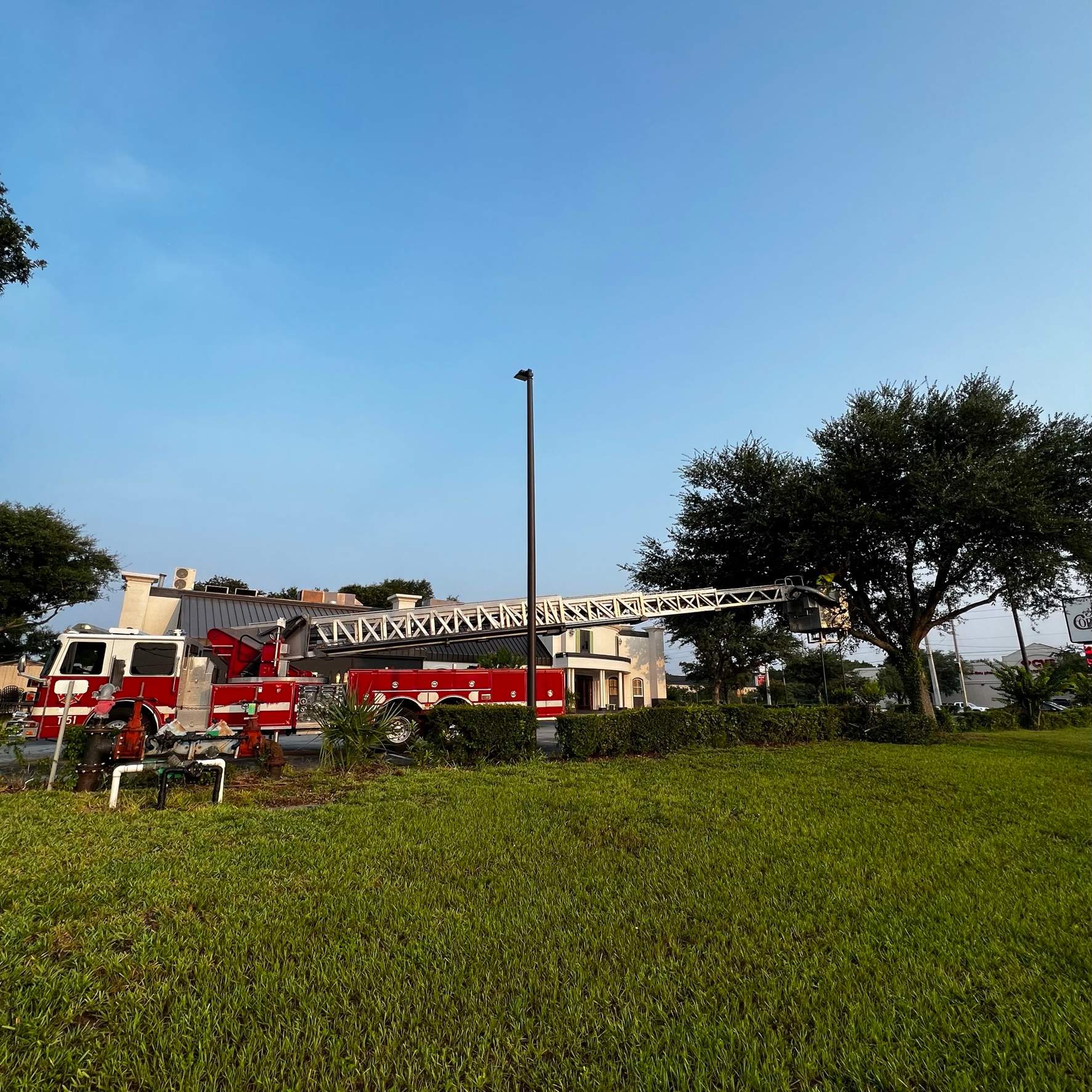 Tree Trimming | Copeland's Restaurant by ProGreen Services