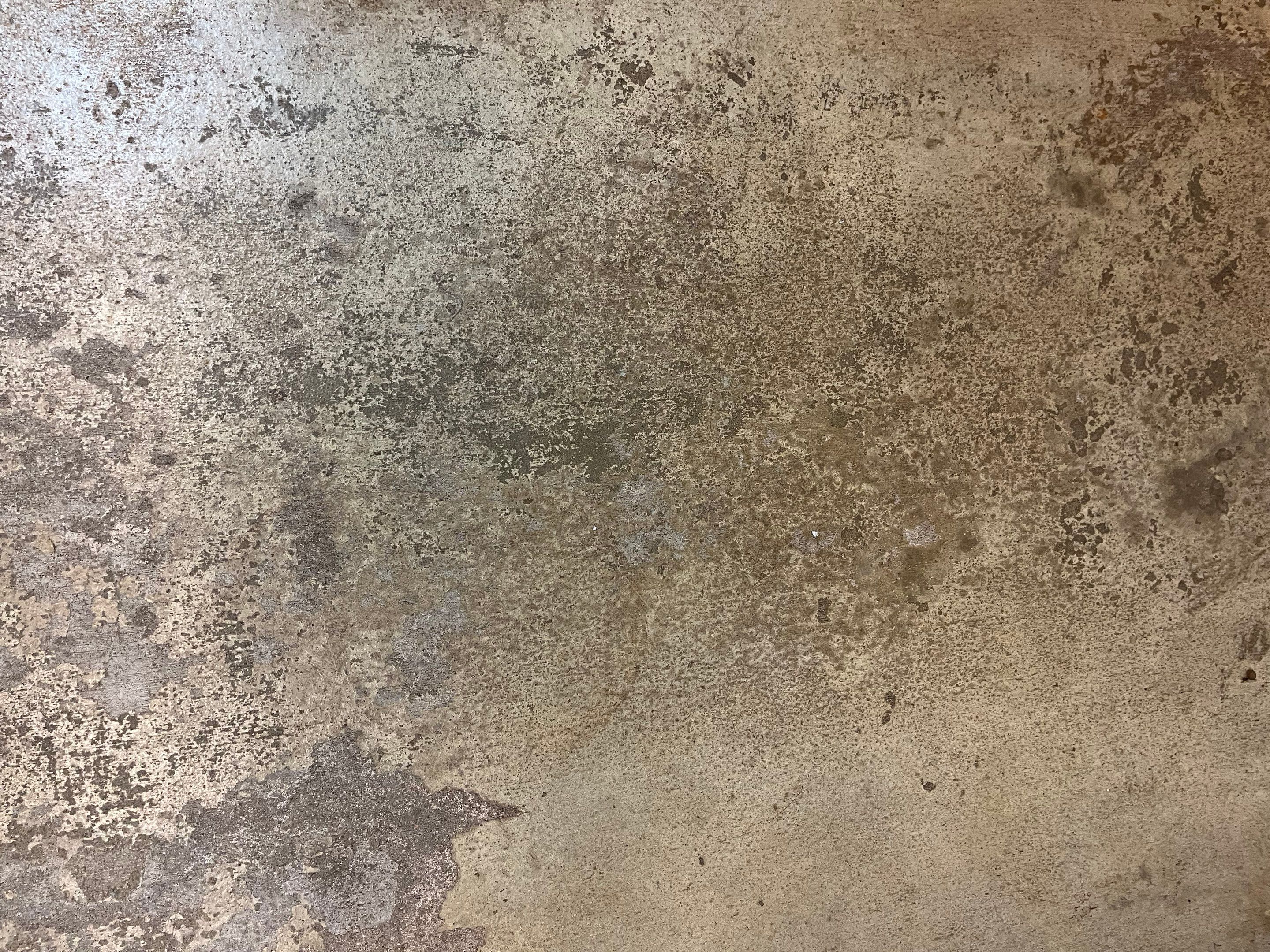 Durable Commercial Concrete Coatings for Brandon Valley Veterinary Clinic by Select Painting, Coatings & Garage Cabinets