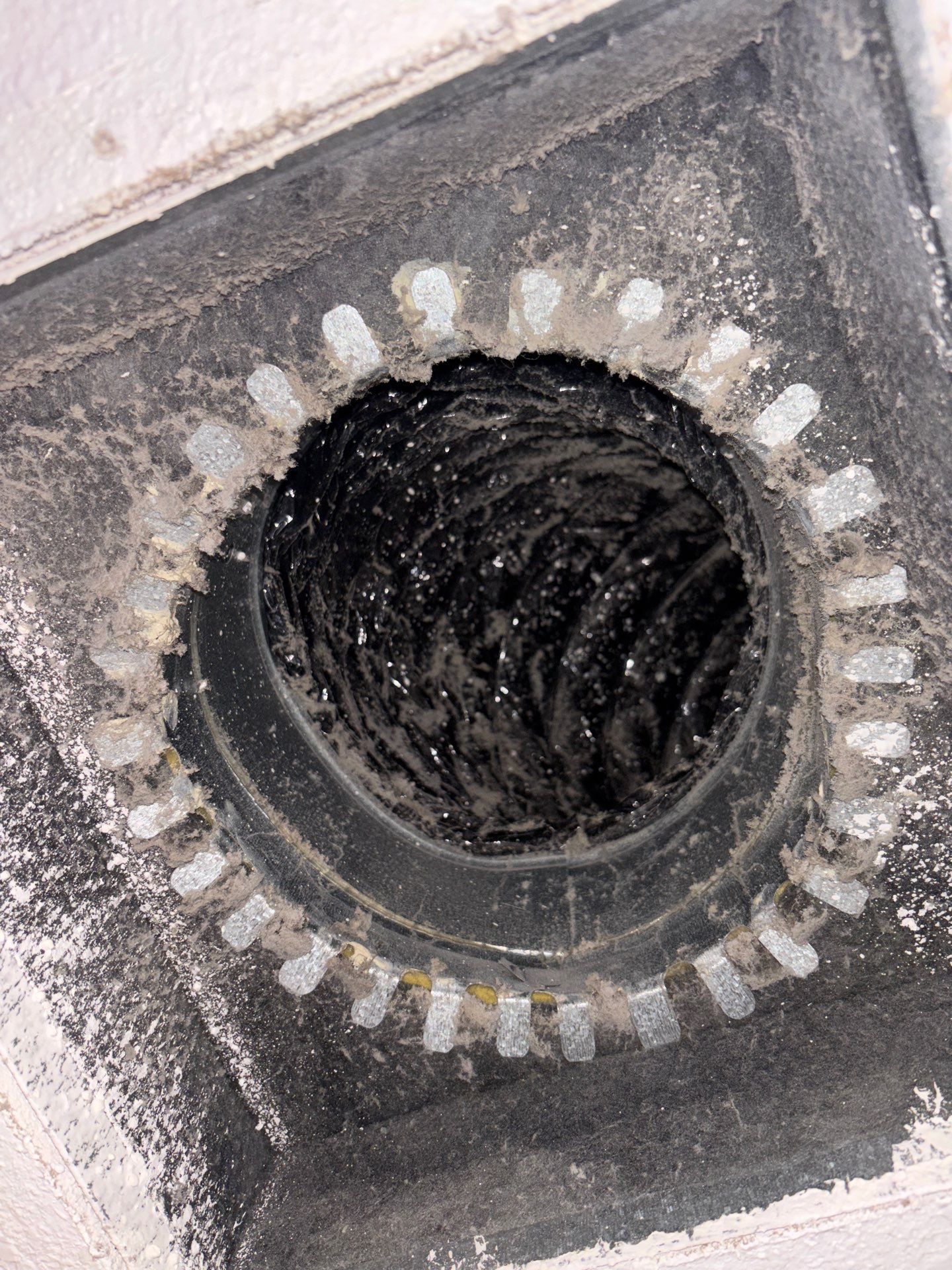 Air Duct Cleaning in Windermere by Hygienic Air, Inc