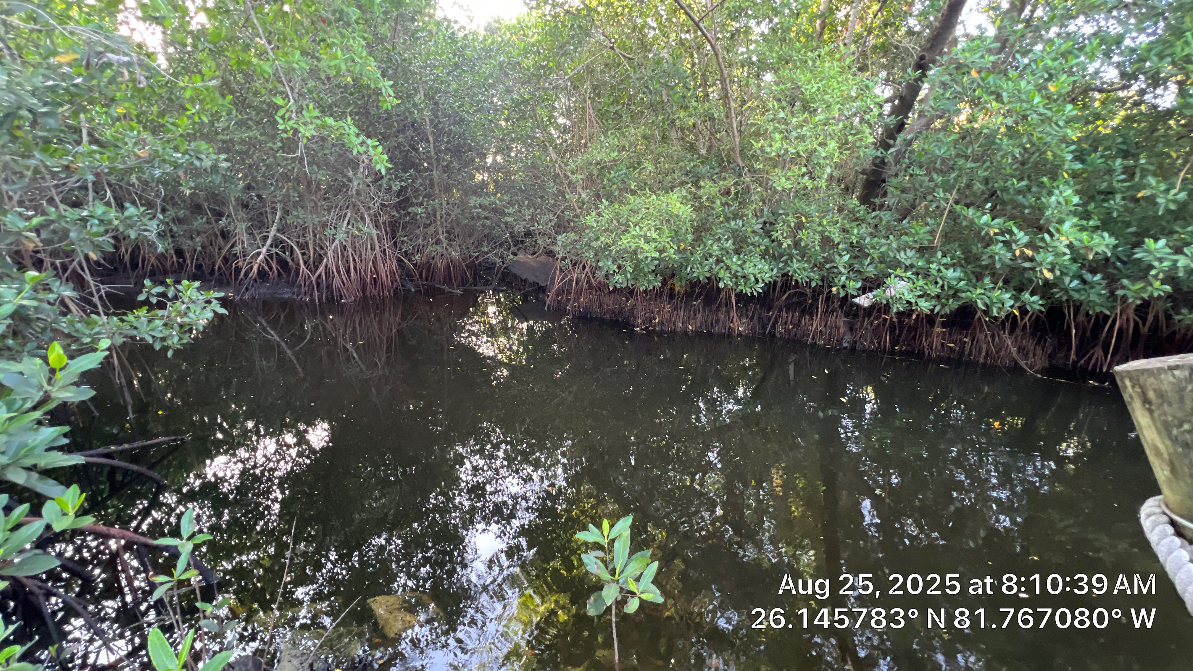Naples RV Resort Stormwater System Maintenance  by Don Mar, Inc. Storm Water Solutions