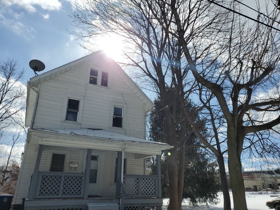 Tree Trimming using Tree Pruing by Mike Jones & Sons Tree Service LLC 