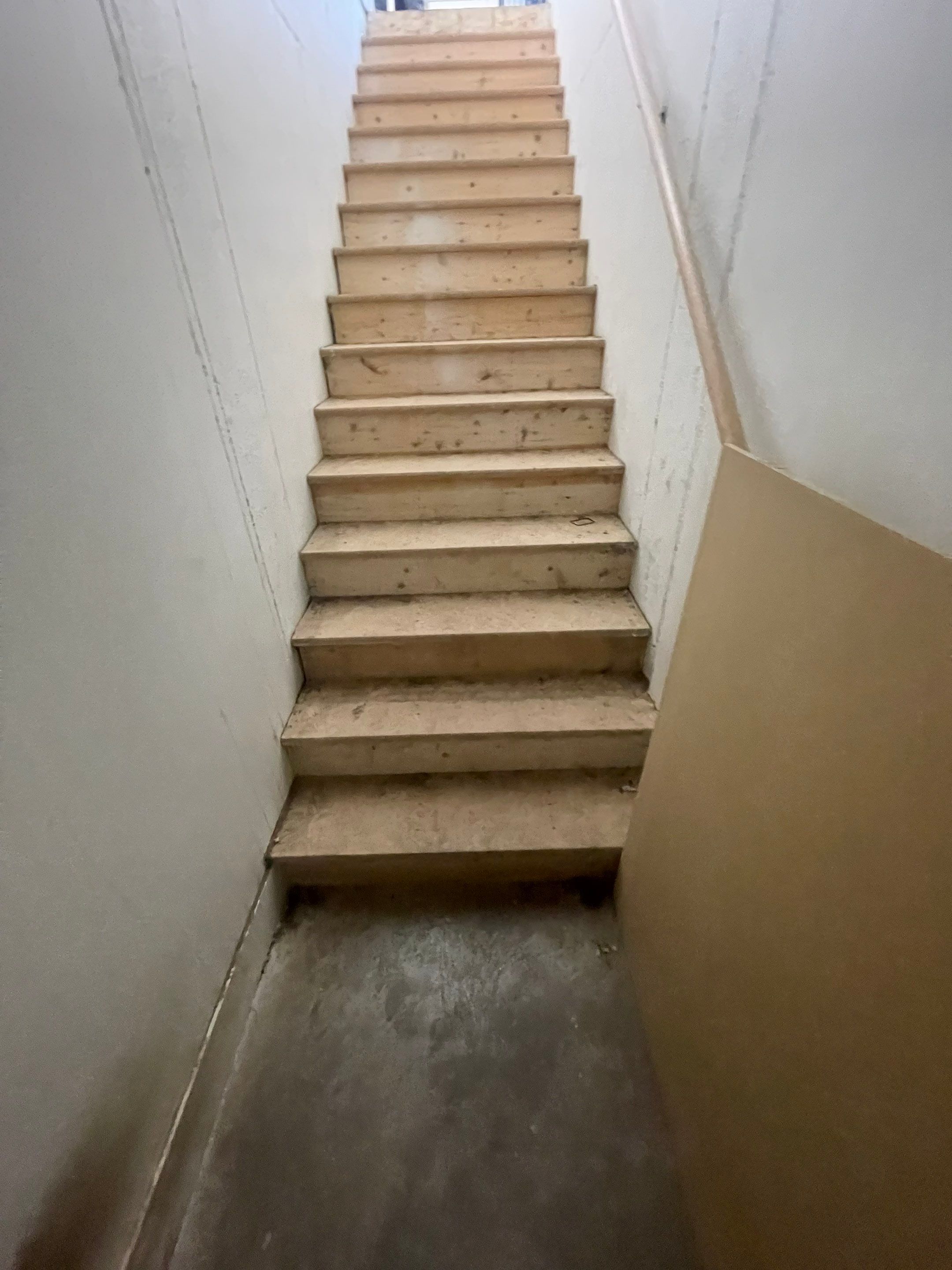 Epoxy Flake Garage Floor and Stair Coating in Sioux Falls by Select Painting, Coatings & Garage Cabinets
