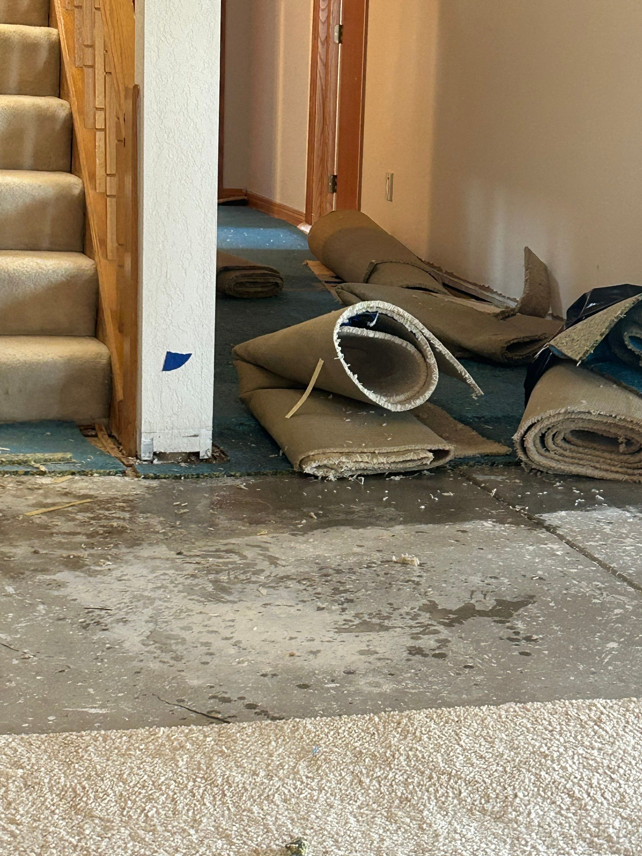 Water Damage in Wheat Ridge, CO by Alpha Restoration 