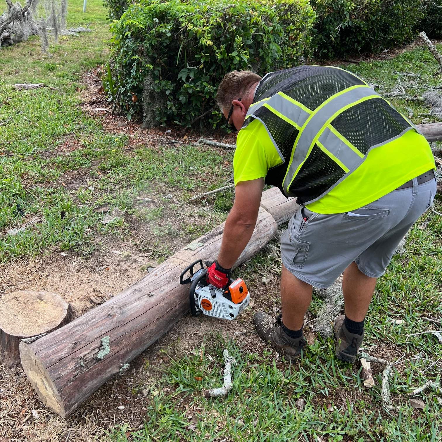 Tree Removal | Avenues Mall by ProGreen Services