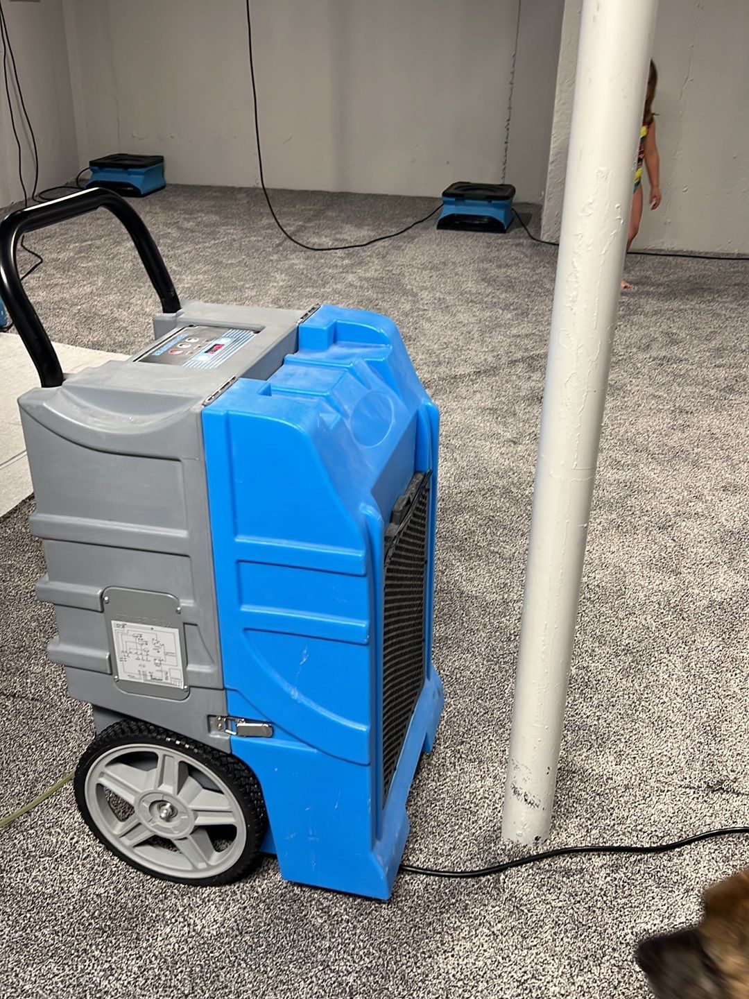 Project in Commerce Charter Twp by EzDry Water Mitigation & Property Restoration