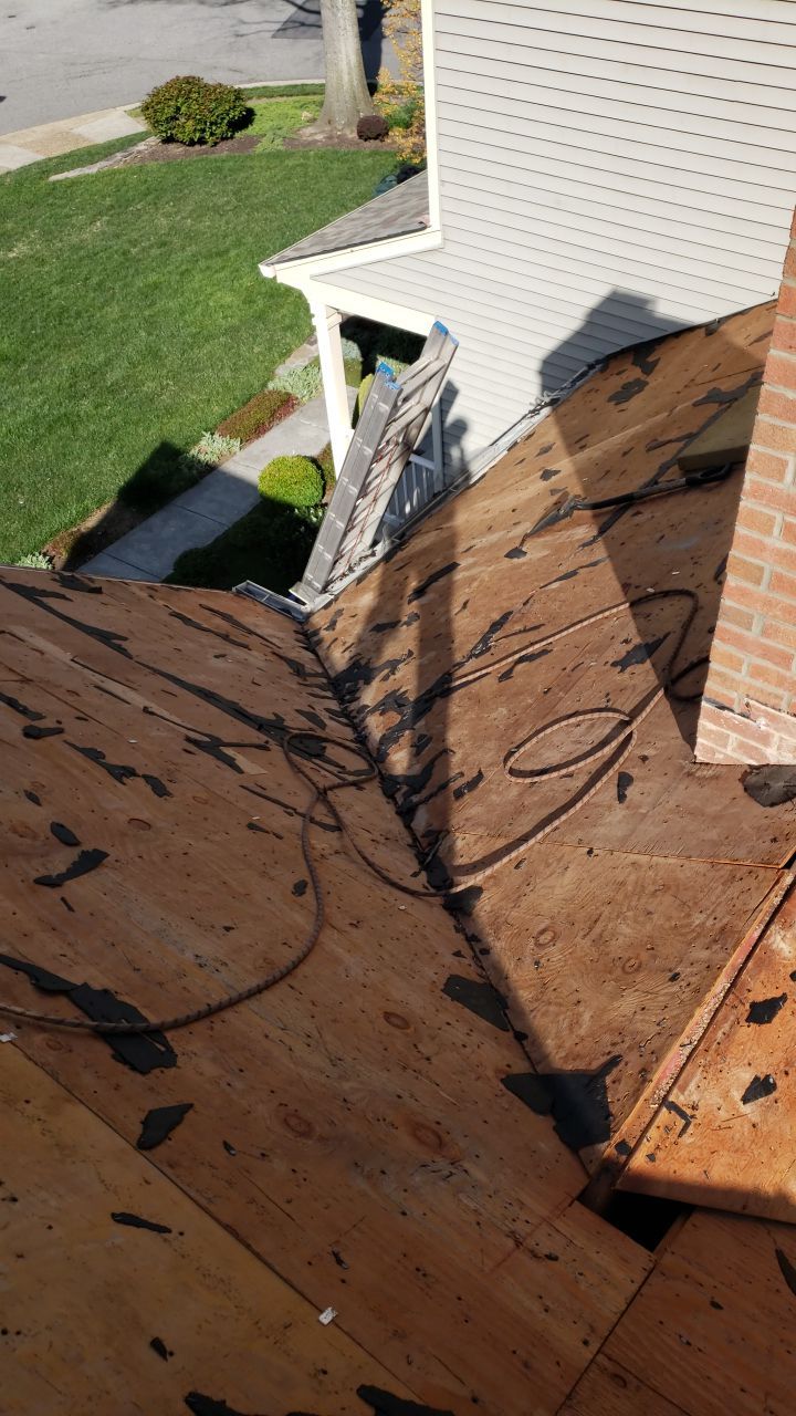 Springfield Certainteed Landmark Pro Designer Shingles by RM Banning, Inc.