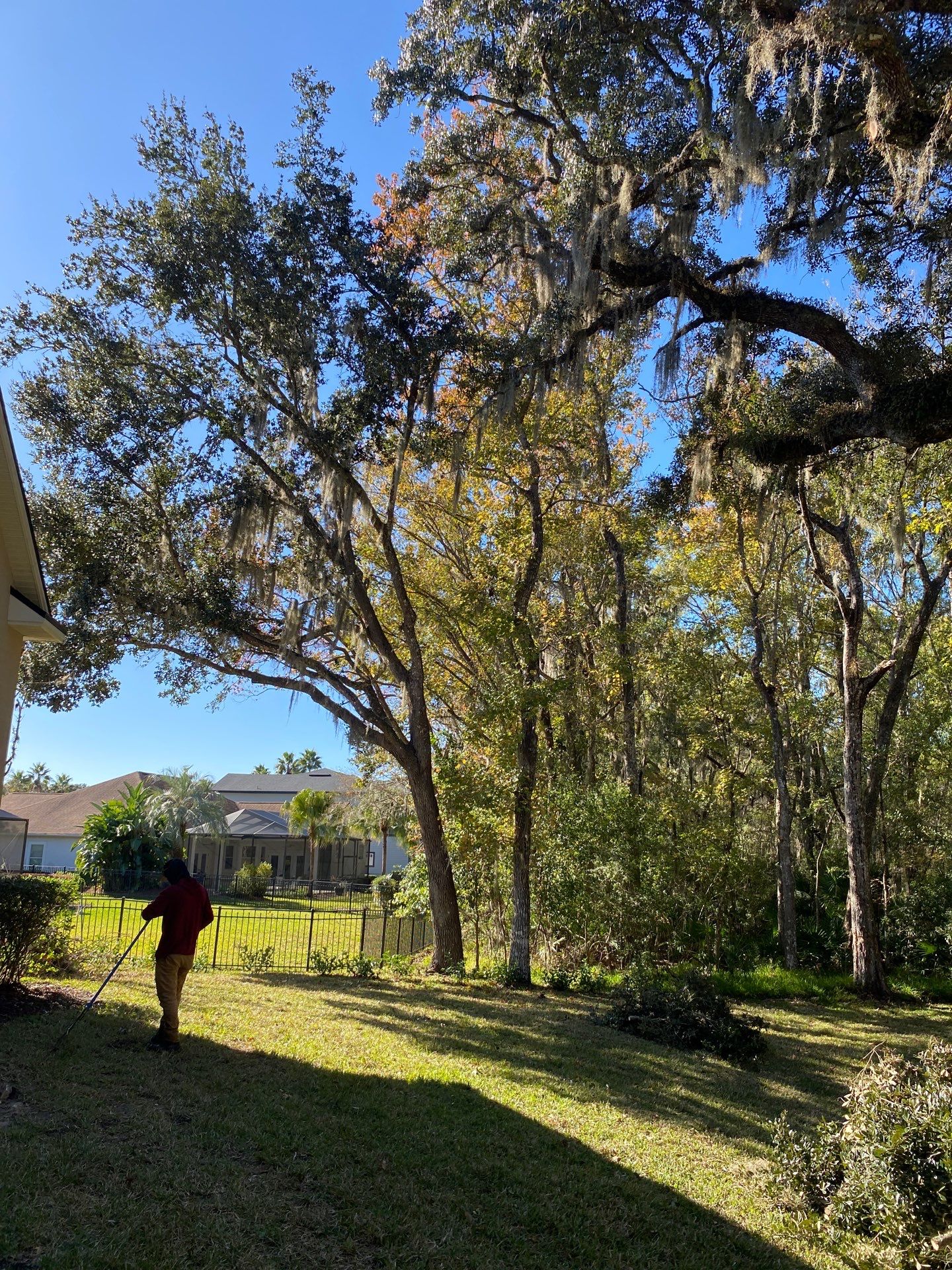 Residential | Tree Service by ProGreen Services