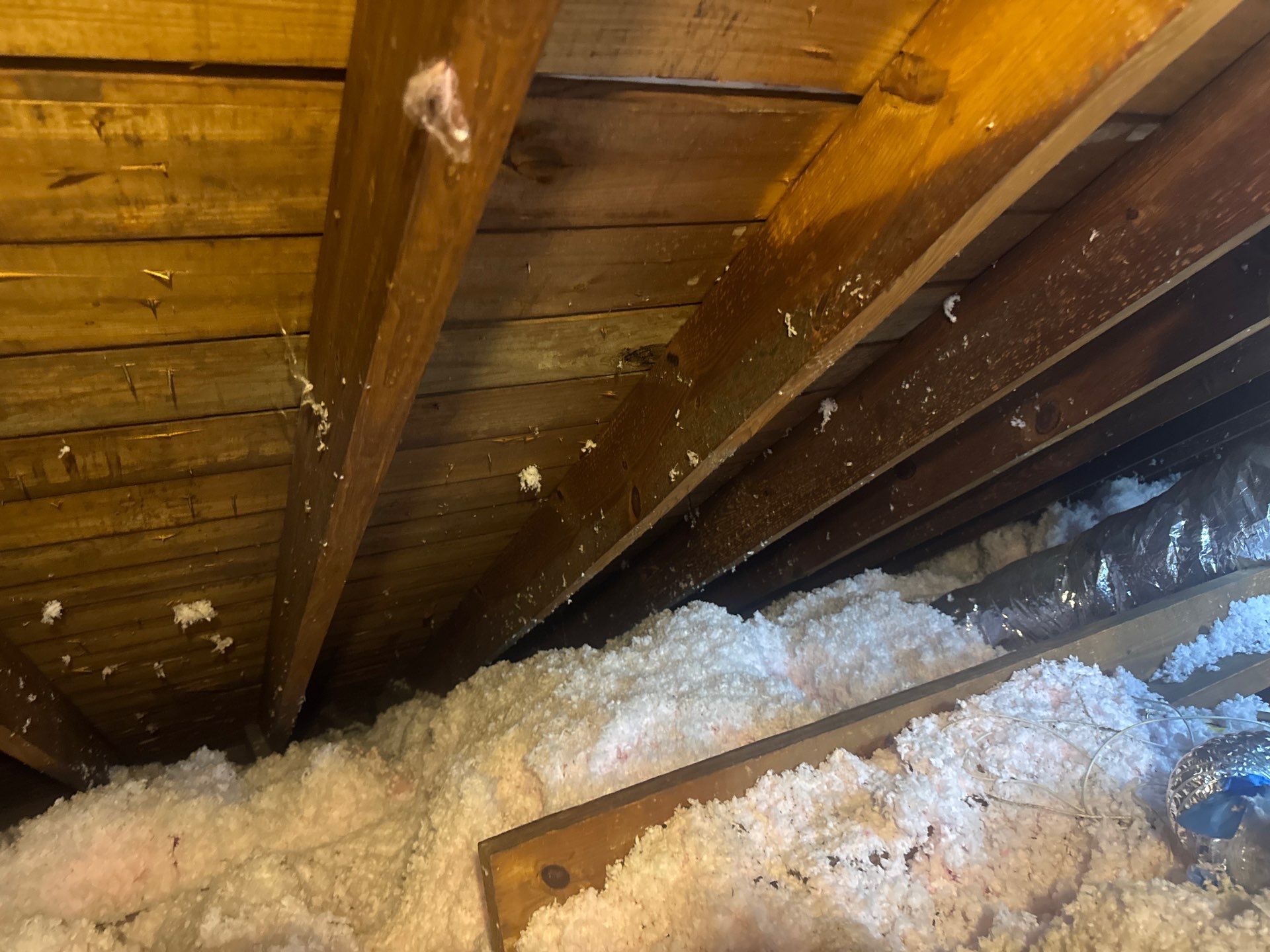 Project in Norfolk by Patriot Crawl Space Repairs